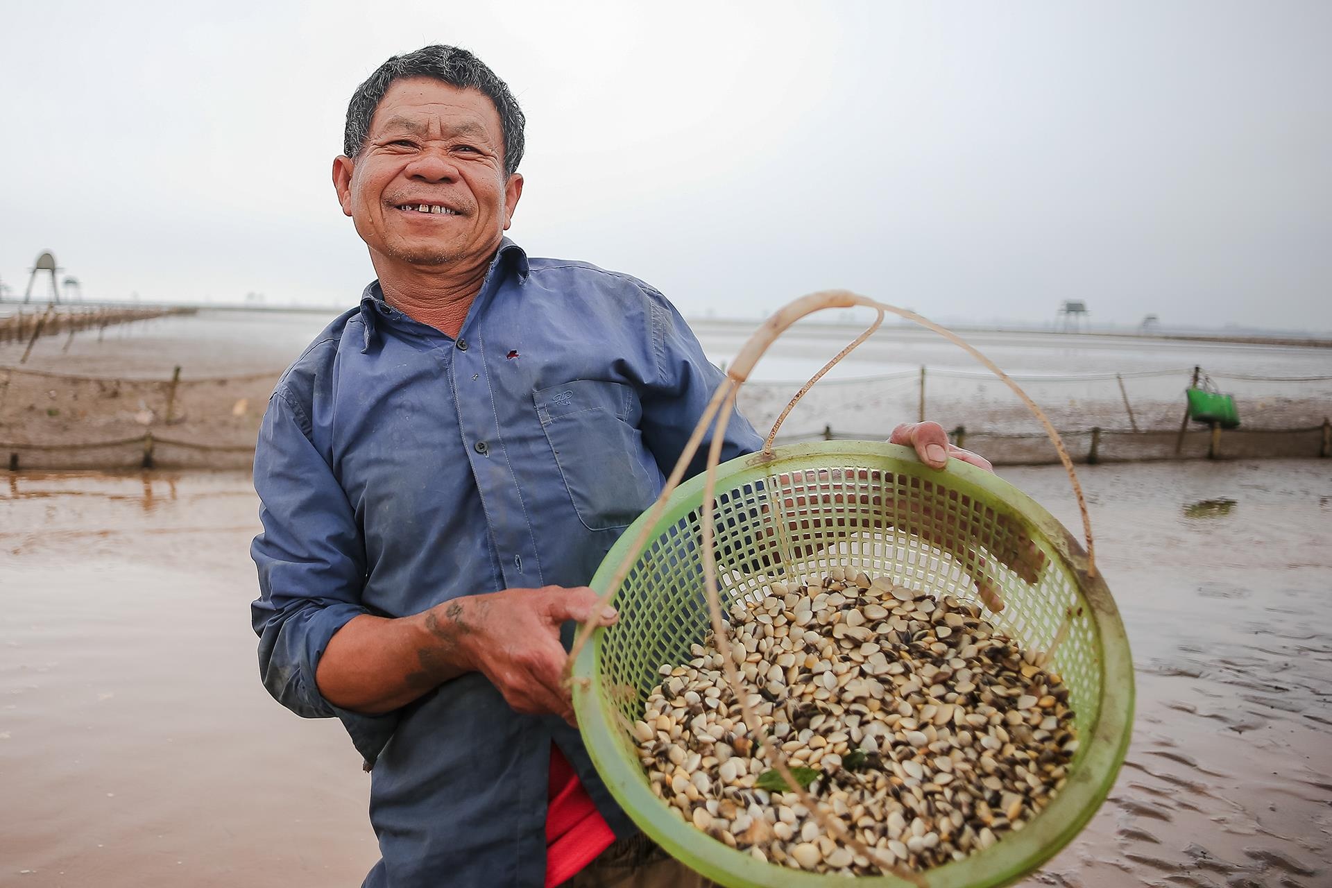 nghề cào ngao ở Thái Bình ảnh 31 nghe cao ngao o Thai Binh anh 31