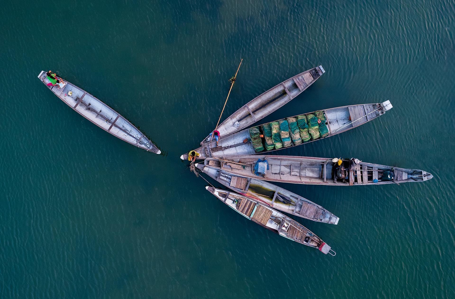 dam Chuon o Thua Thien Hue anh 8