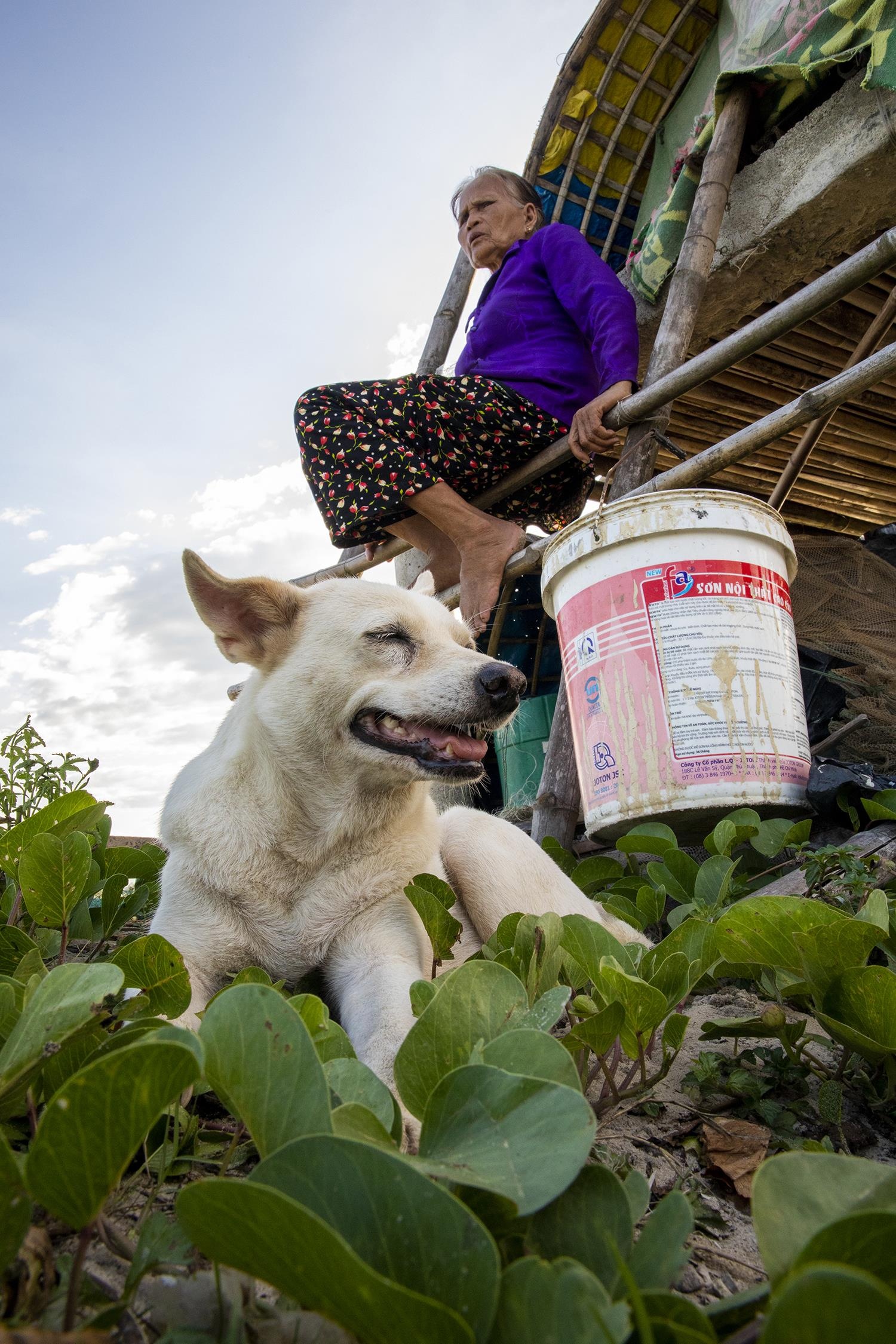 dam Chuon o Thua Thien Hue anh 17
