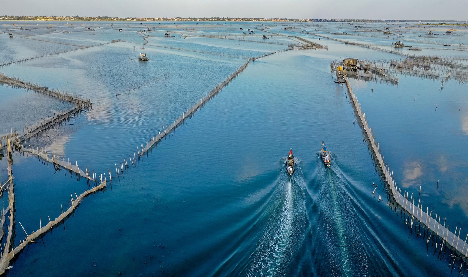 dam Chuon o Thua Thien Hue anh 4