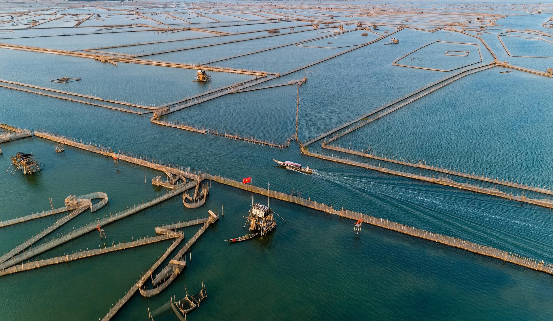 dam Chuon o Thua Thien Hue anh 10