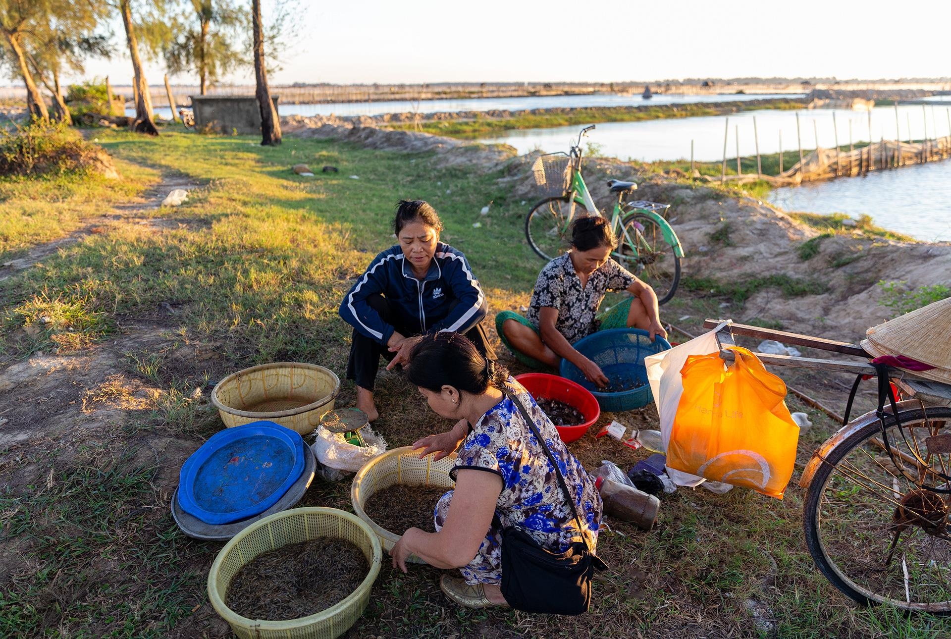 dam Chuon o Thua Thien Hue anh 20