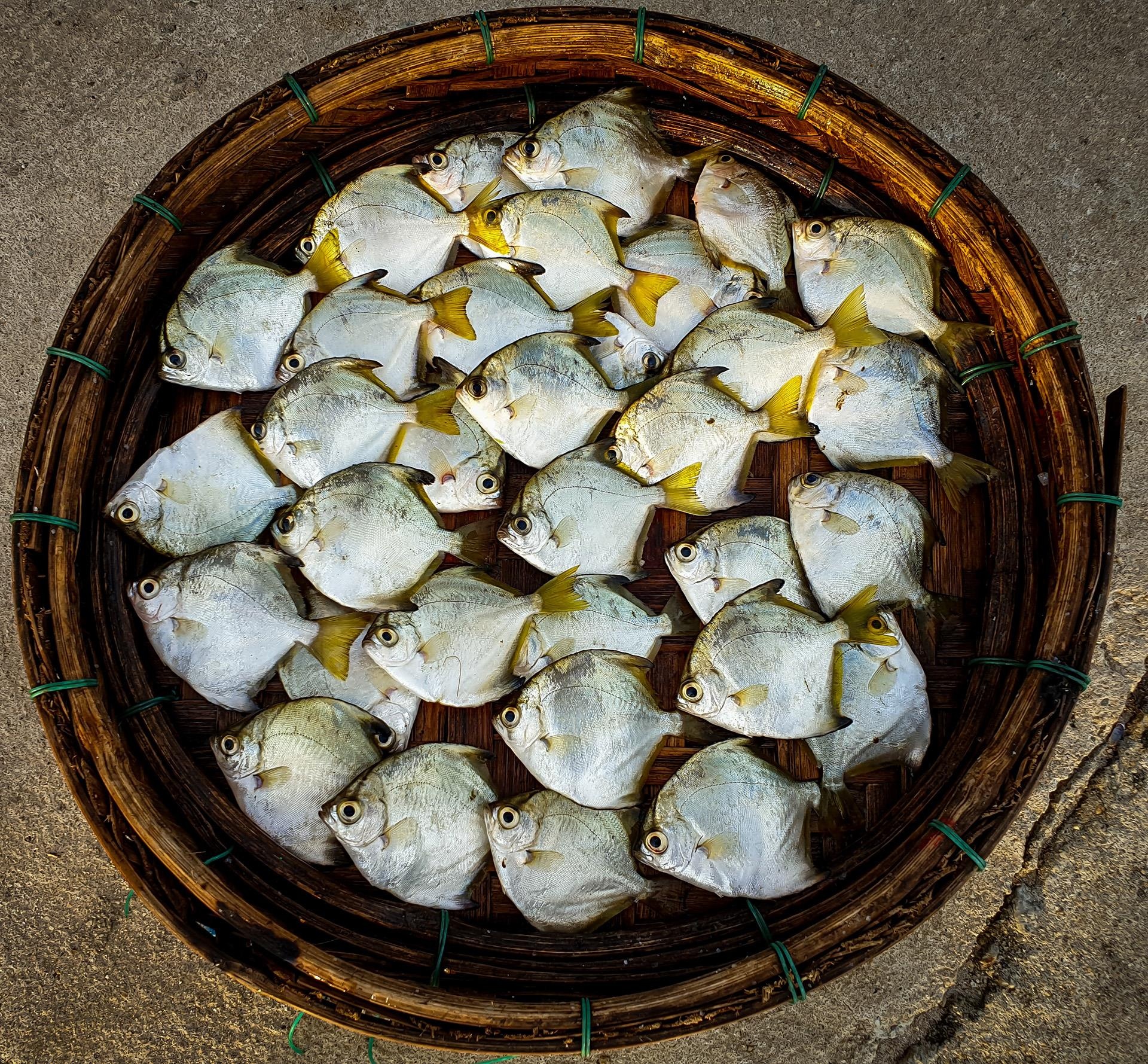 dam Chuon o Thua Thien Hue anh 25