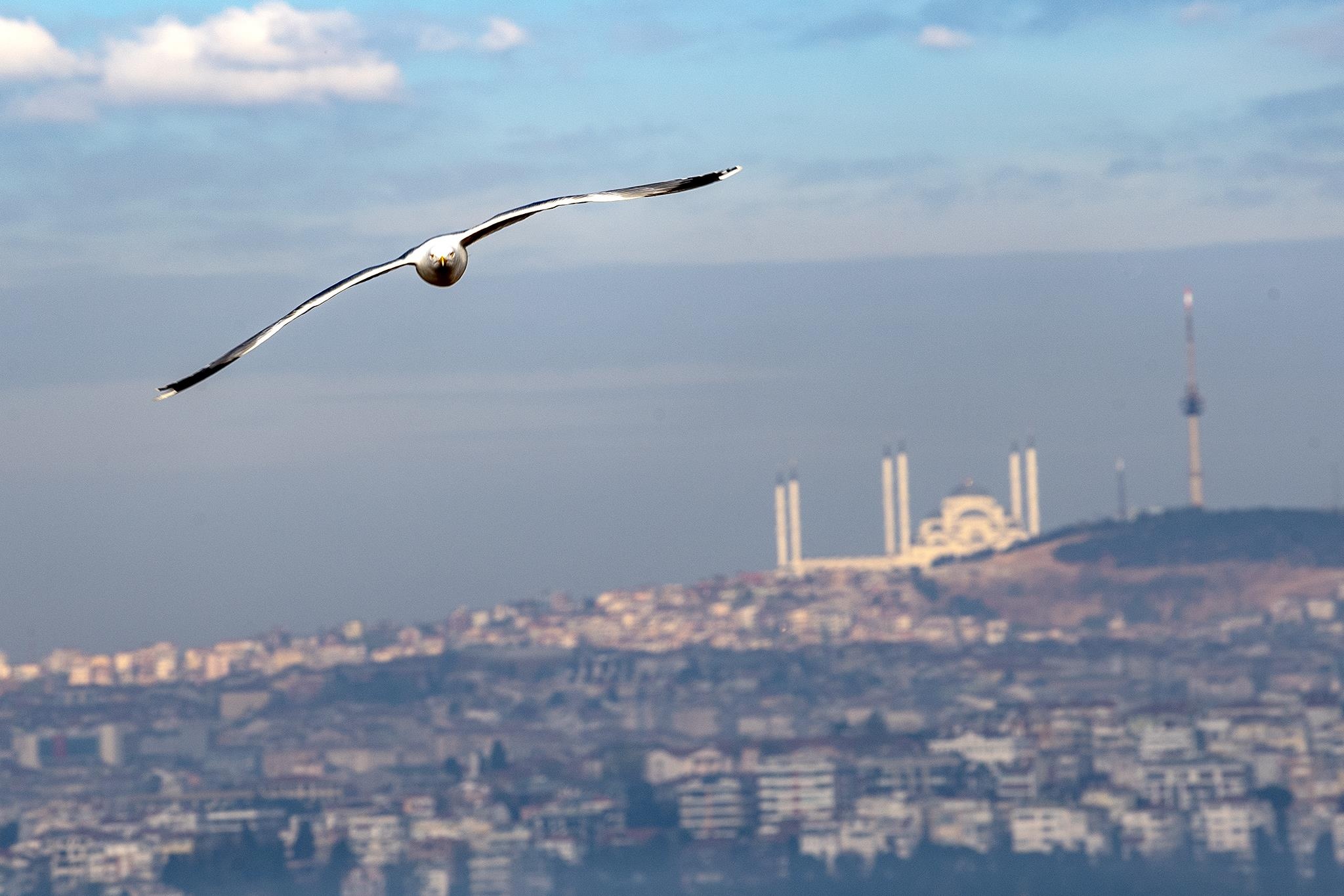 du lich Tho Nhi Ky anh 9