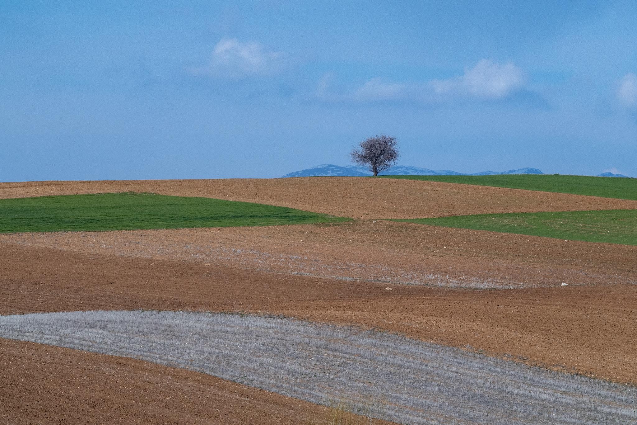 du lich Tho Nhi Ky anh 2