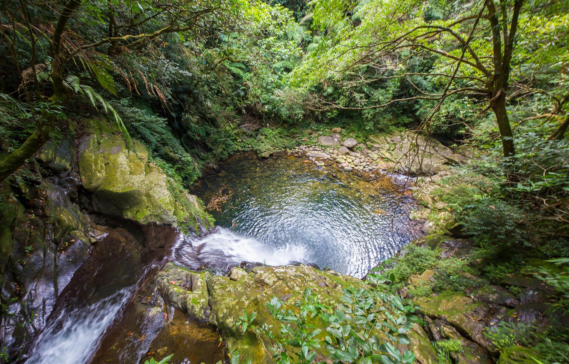 vuon quoc gia Bach Ma anh 4