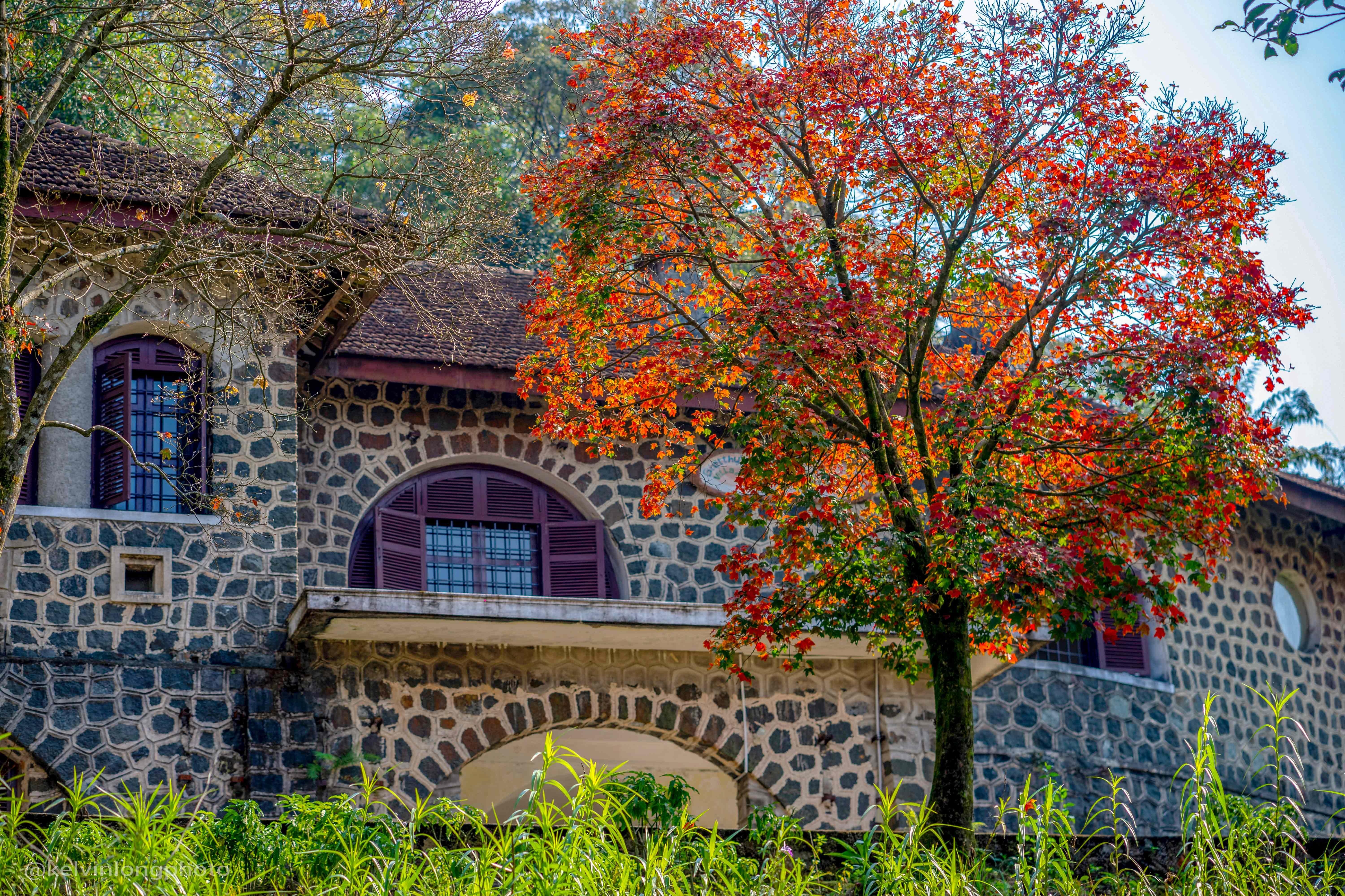 vuon quoc gia Bach Ma anh 9