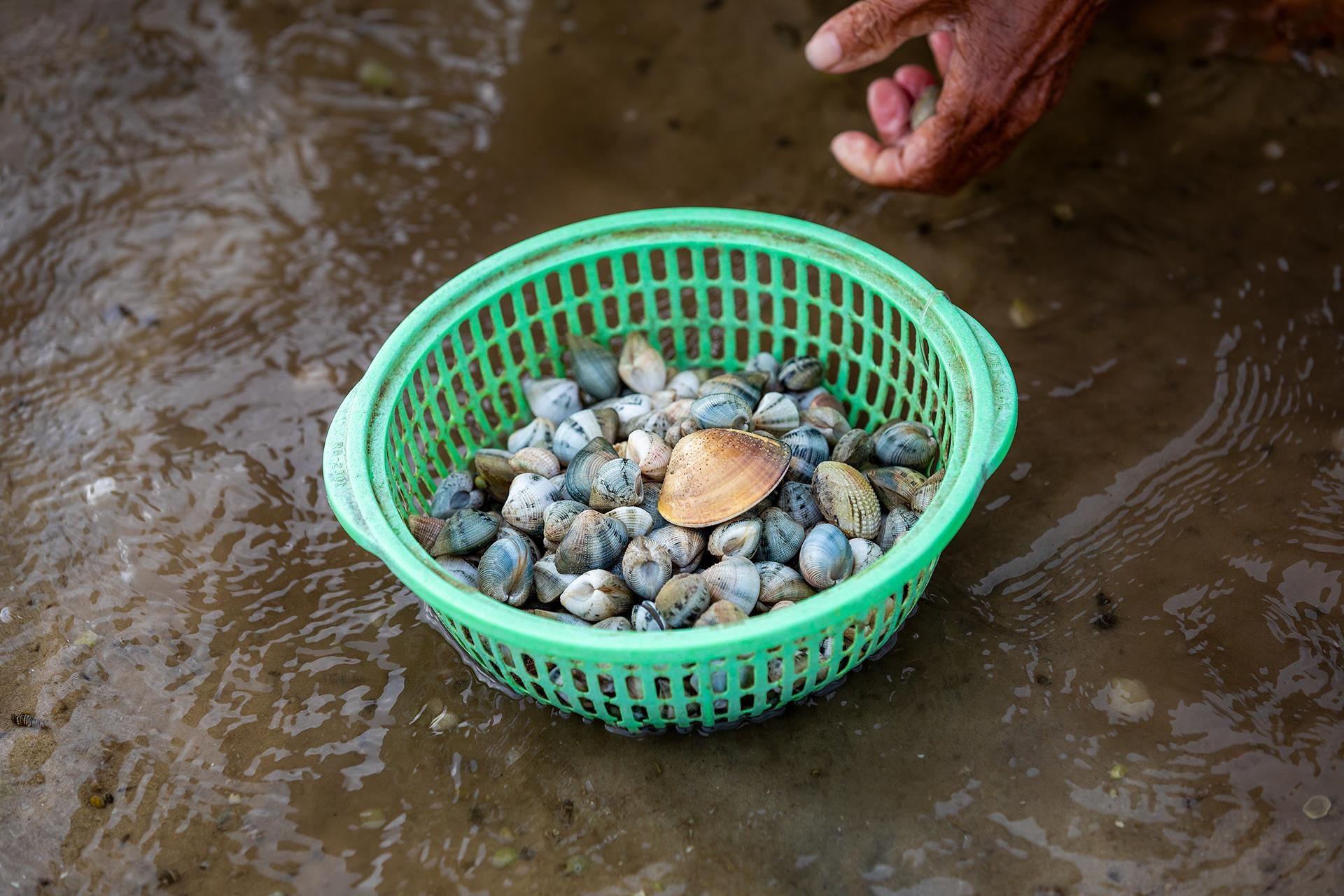 tan man anh dam Lap An anh 22