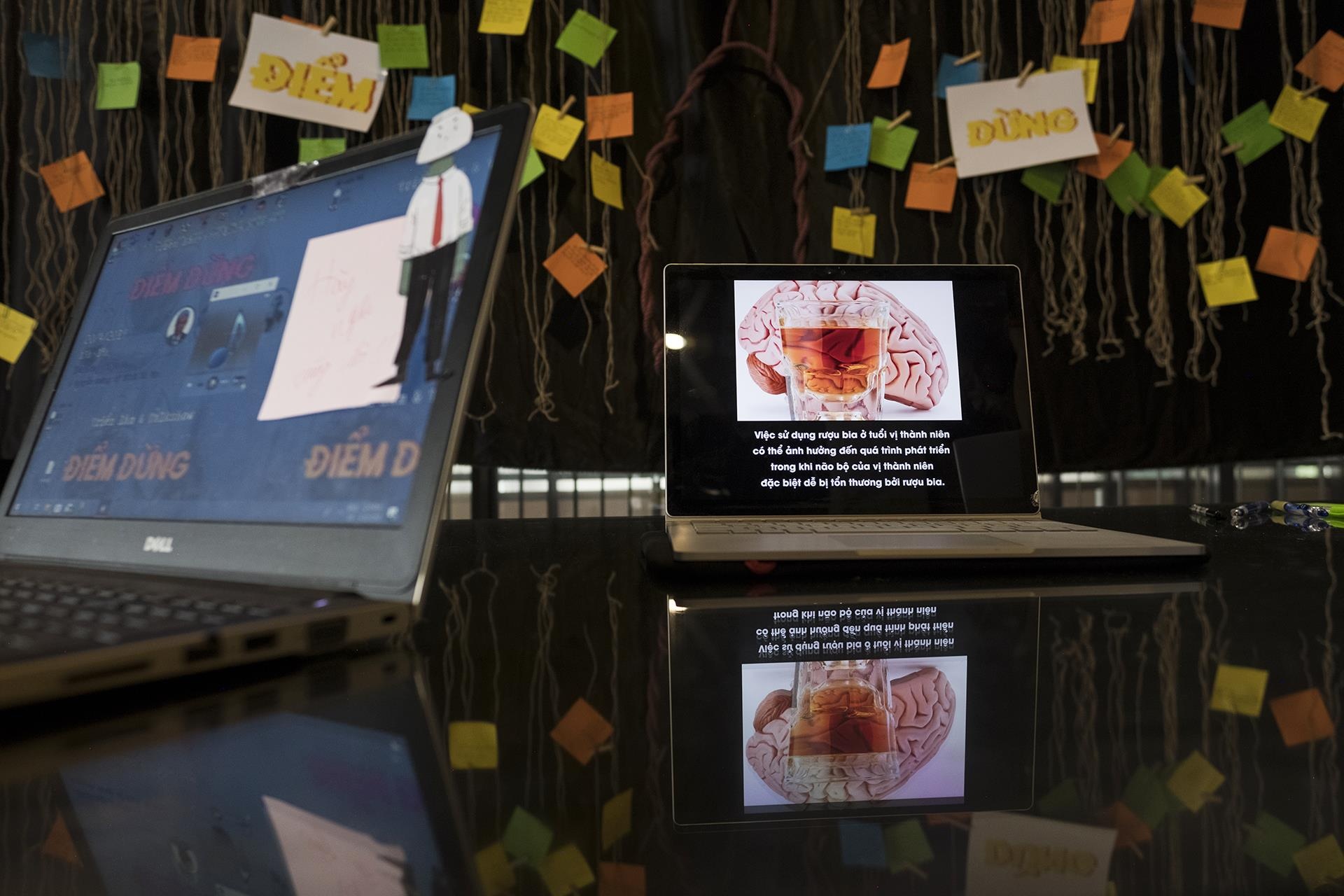 trien lam tac hai cua ruou anh 11