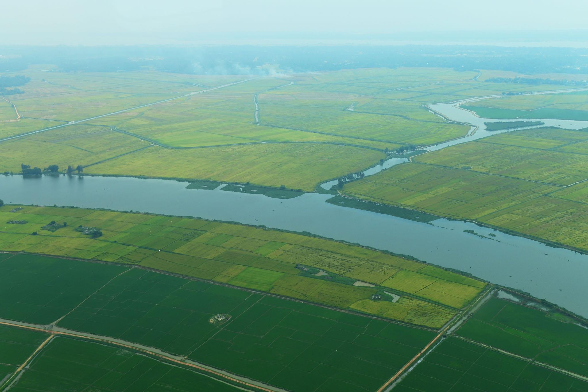 bay thuy phi co o Hue anh 3