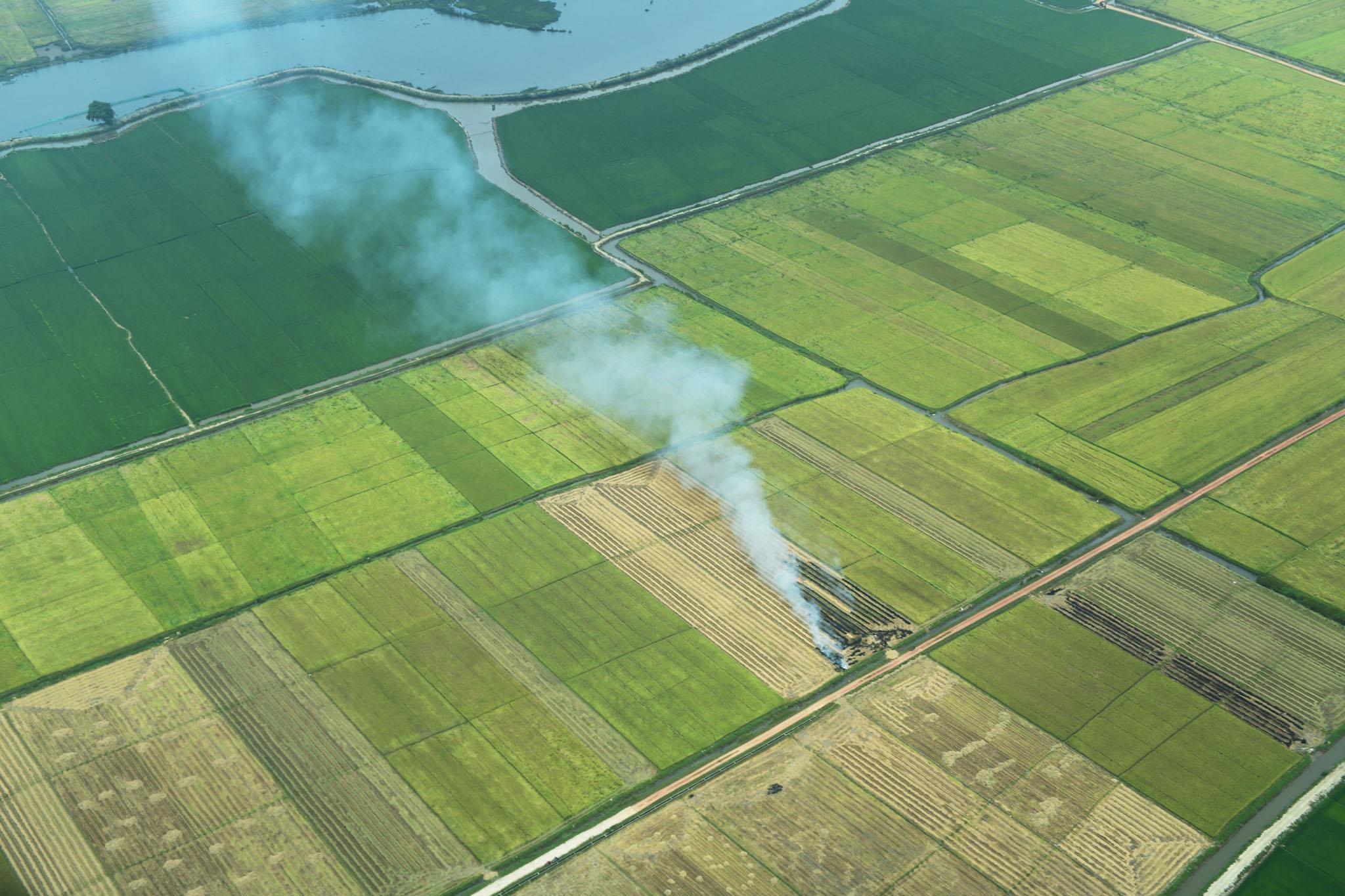 bay thuy phi co o Hue anh 4