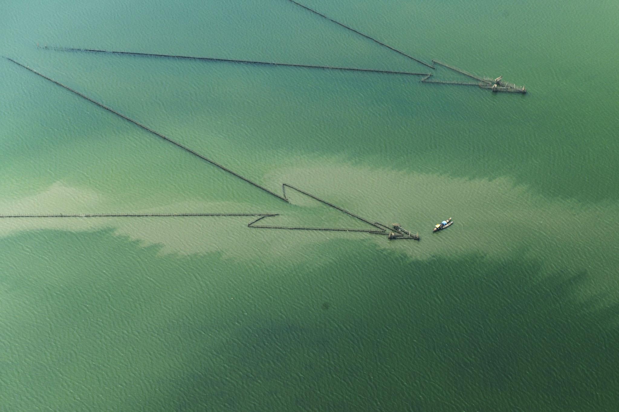 bay thuy phi co o Hue anh 5