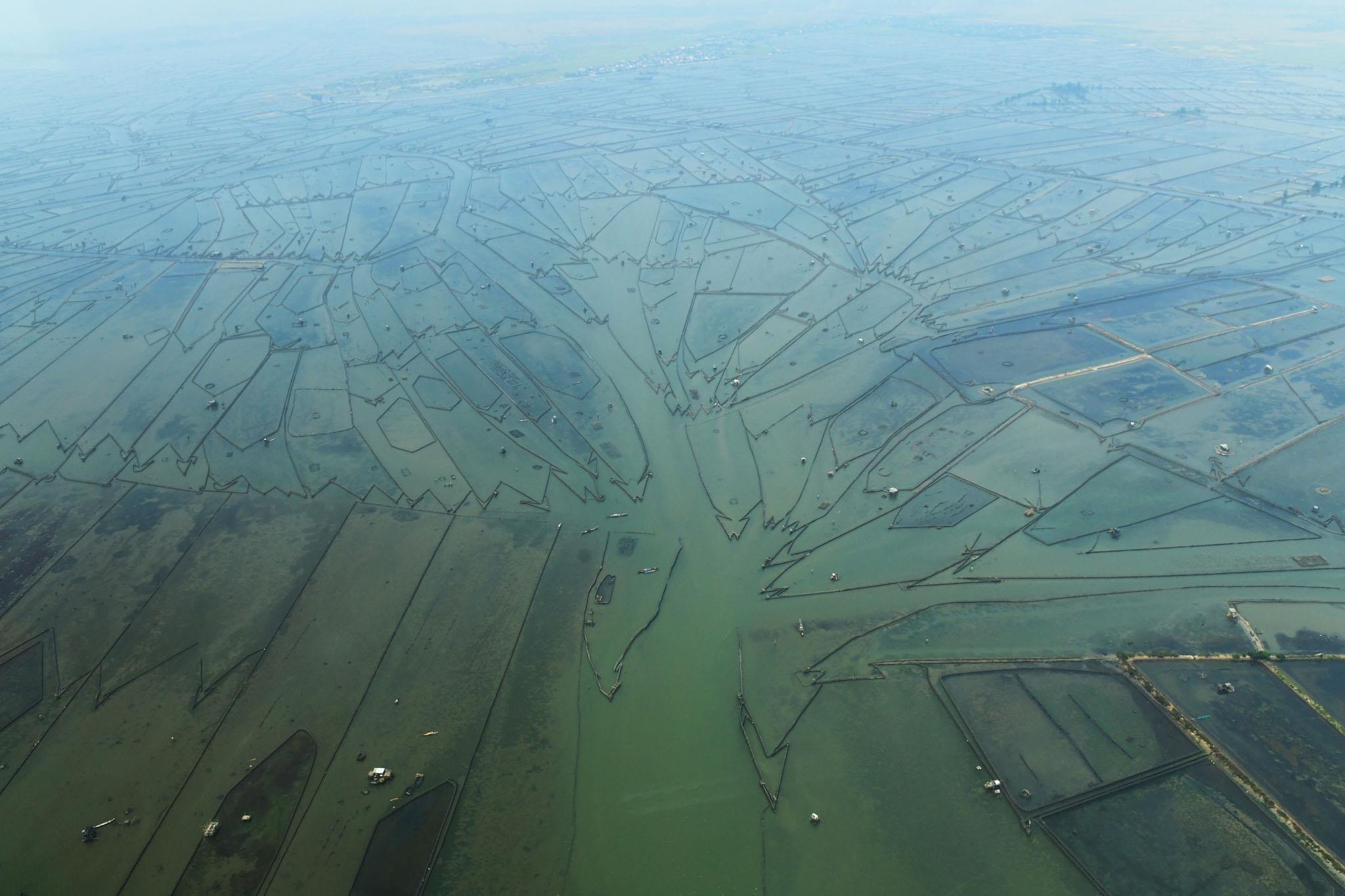 bay thuy phi co o Hue anh 6