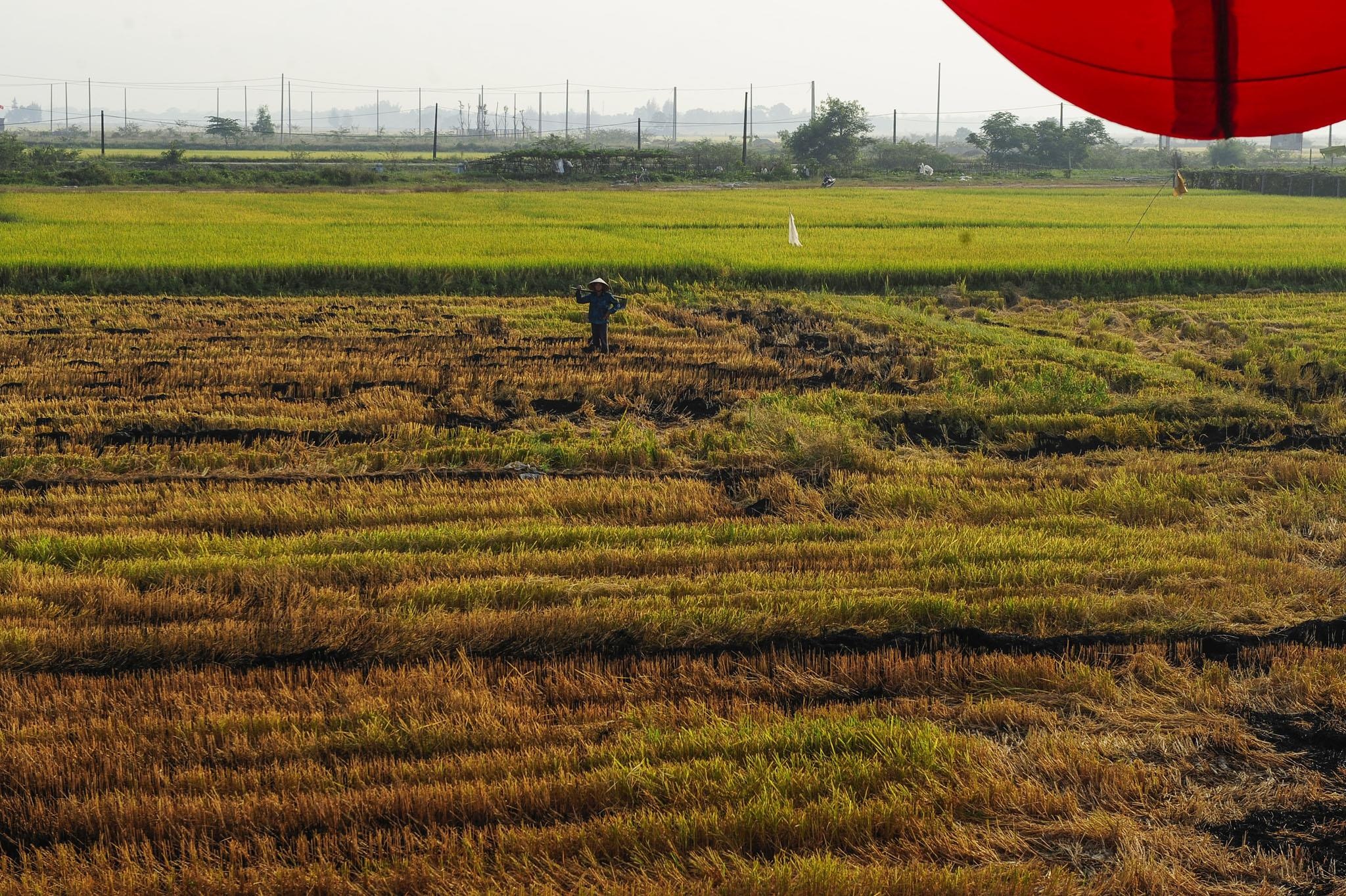 Hue nhin tu Khinh khi cau anh 14