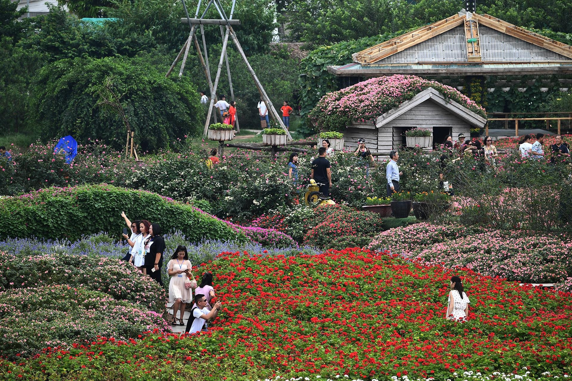 duong pho Ha Noi ngay nghi le anh 3