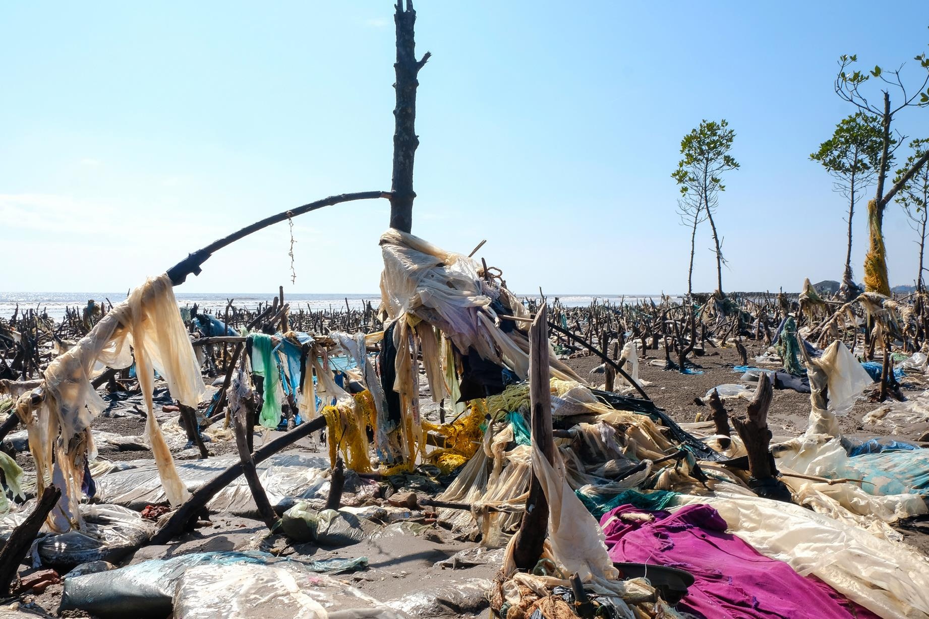 rac thai khap ca nuoc anh 13