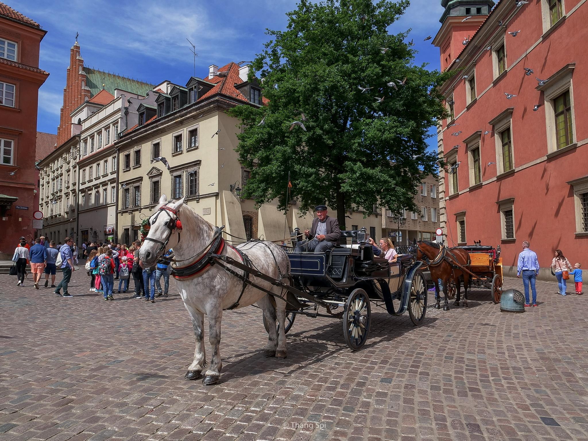 du lich Warsaw anh 32