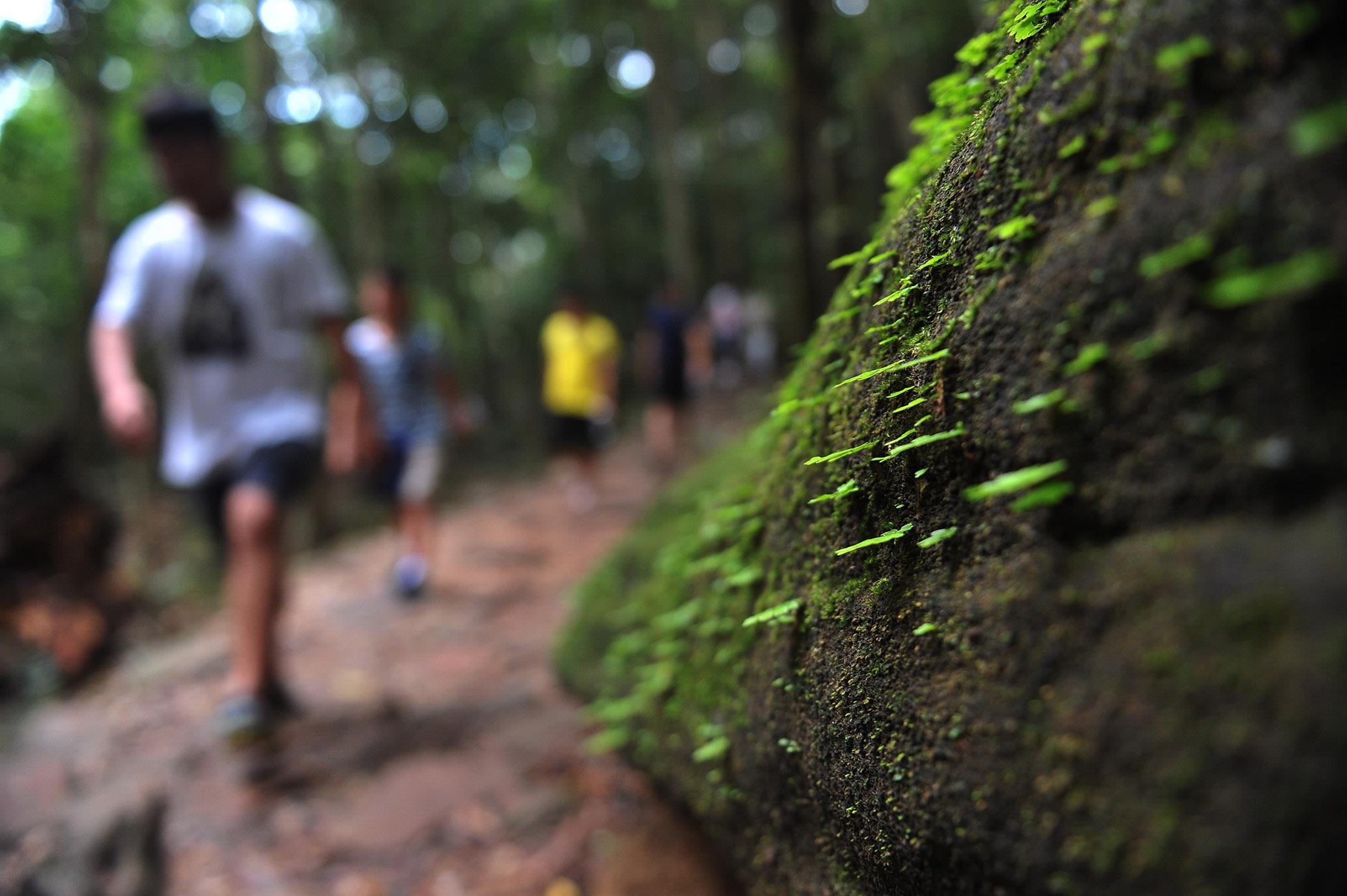 suoi Tranh thu hut khach nhat Phu Quoc anh 2