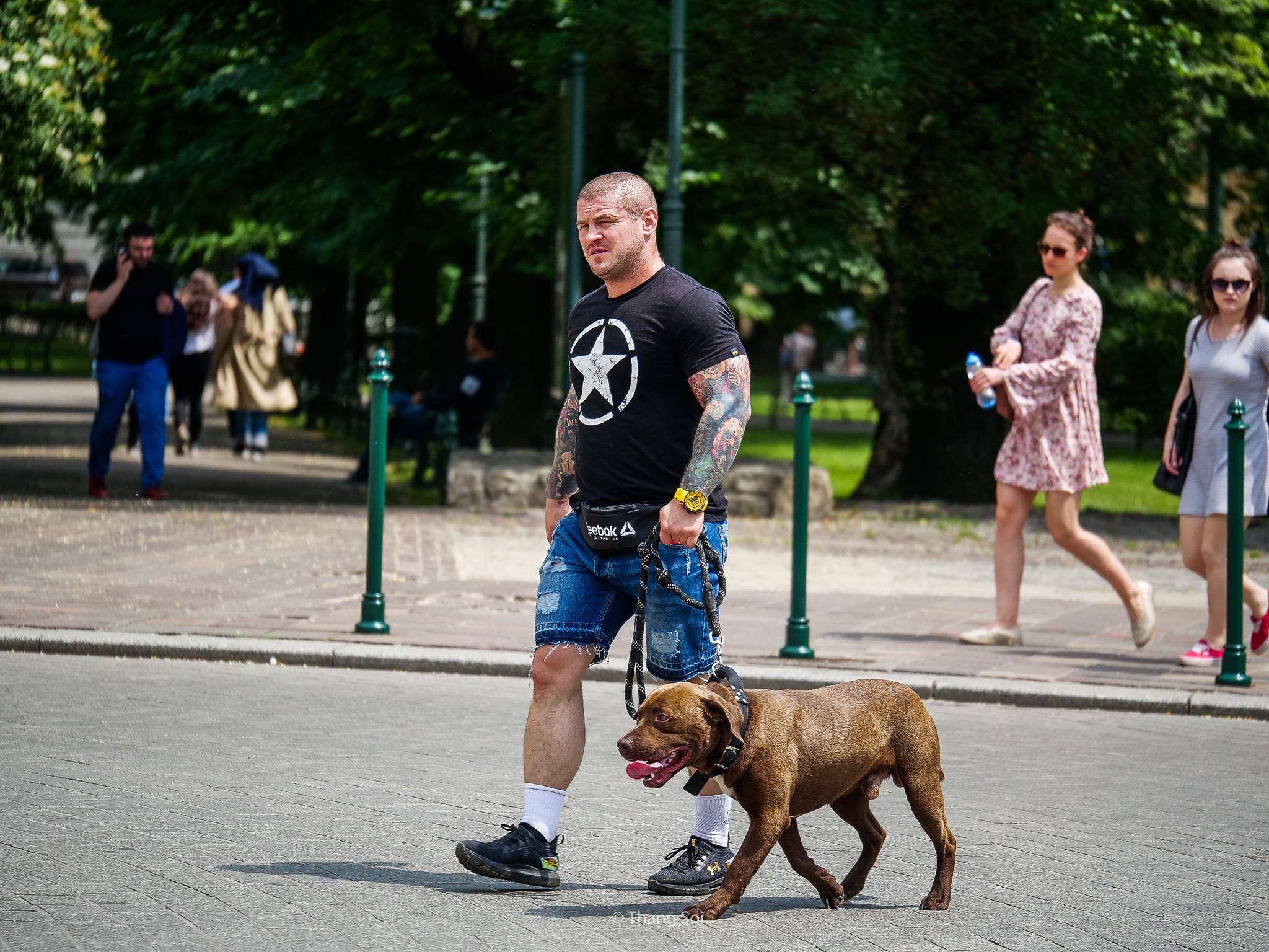 tham kinh do co Krakow o Ba Lan anh 12