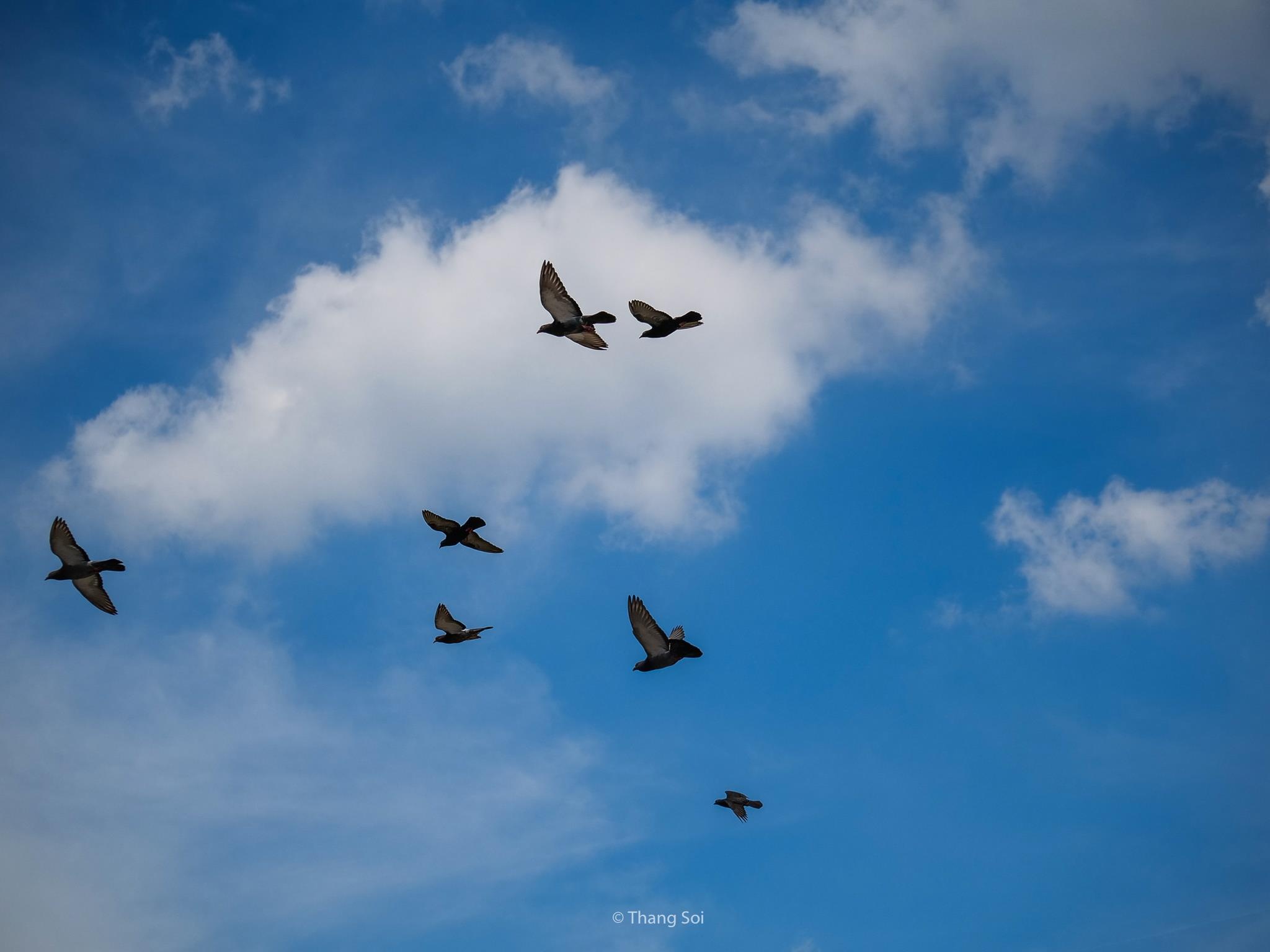 tham kinh do co Krakow o Ba Lan anh 15