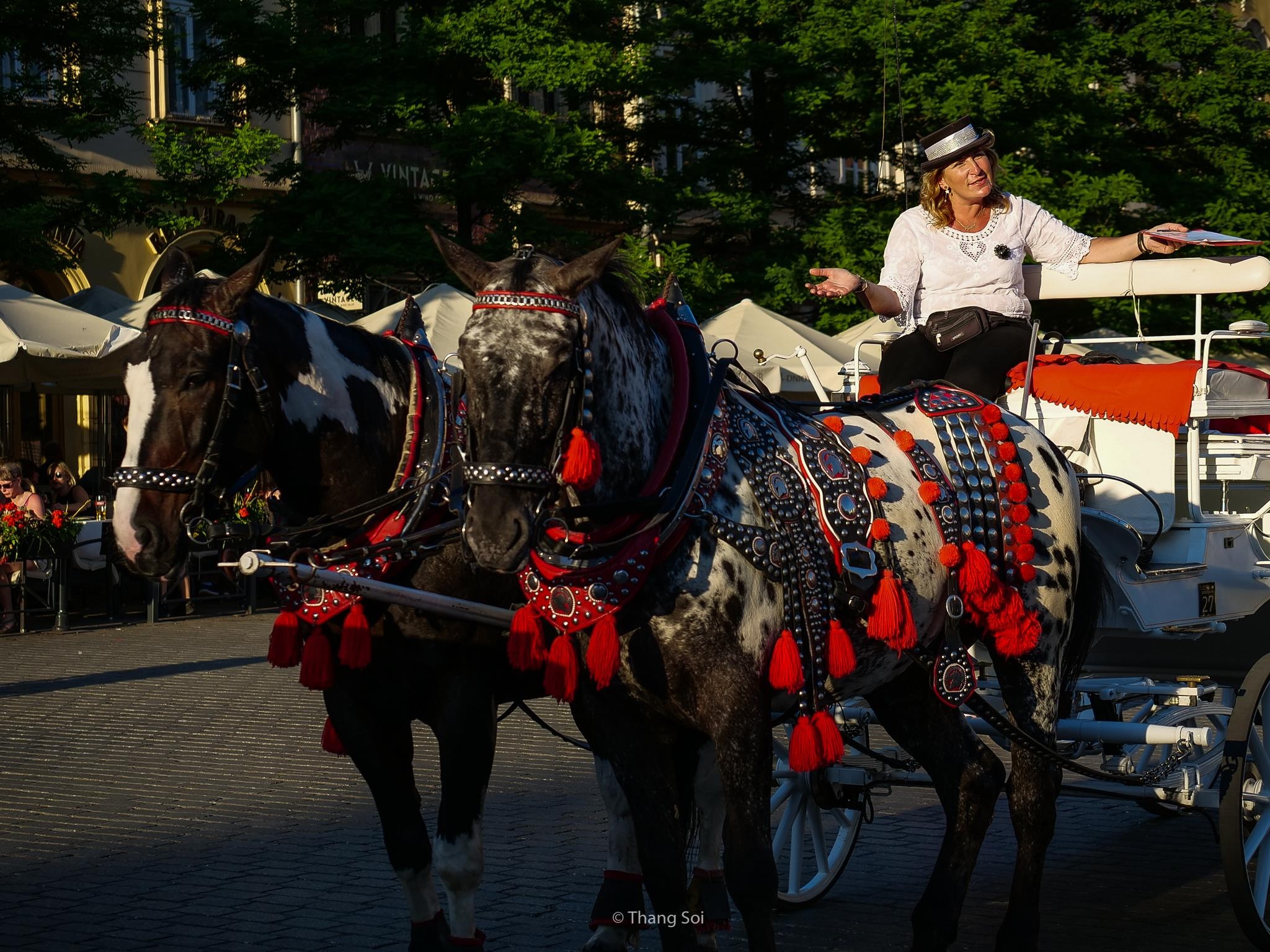 tham kinh do co Krakow o Ba Lan anh 10