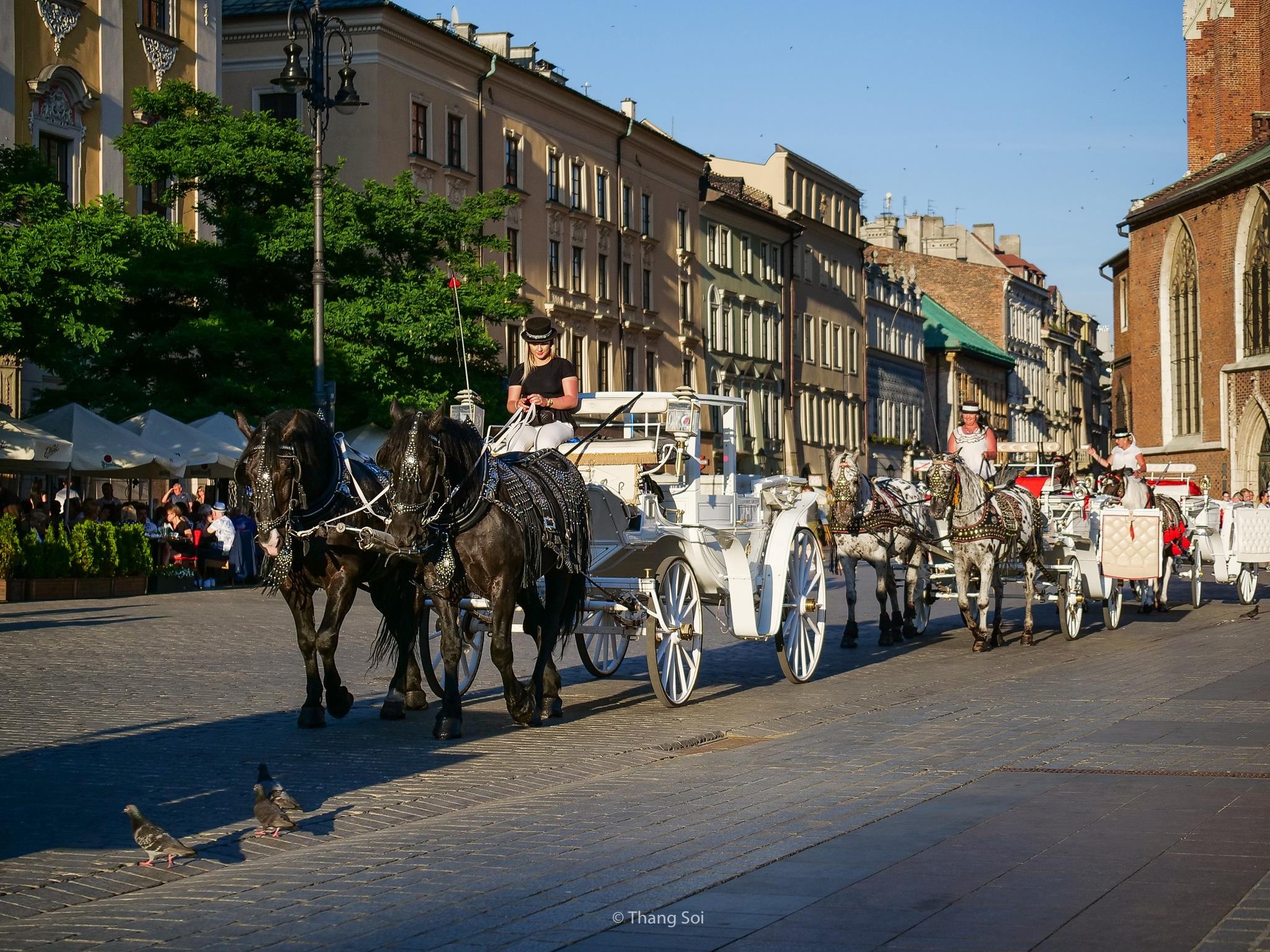 tham kinh do co Krakow o Ba Lan anh 37