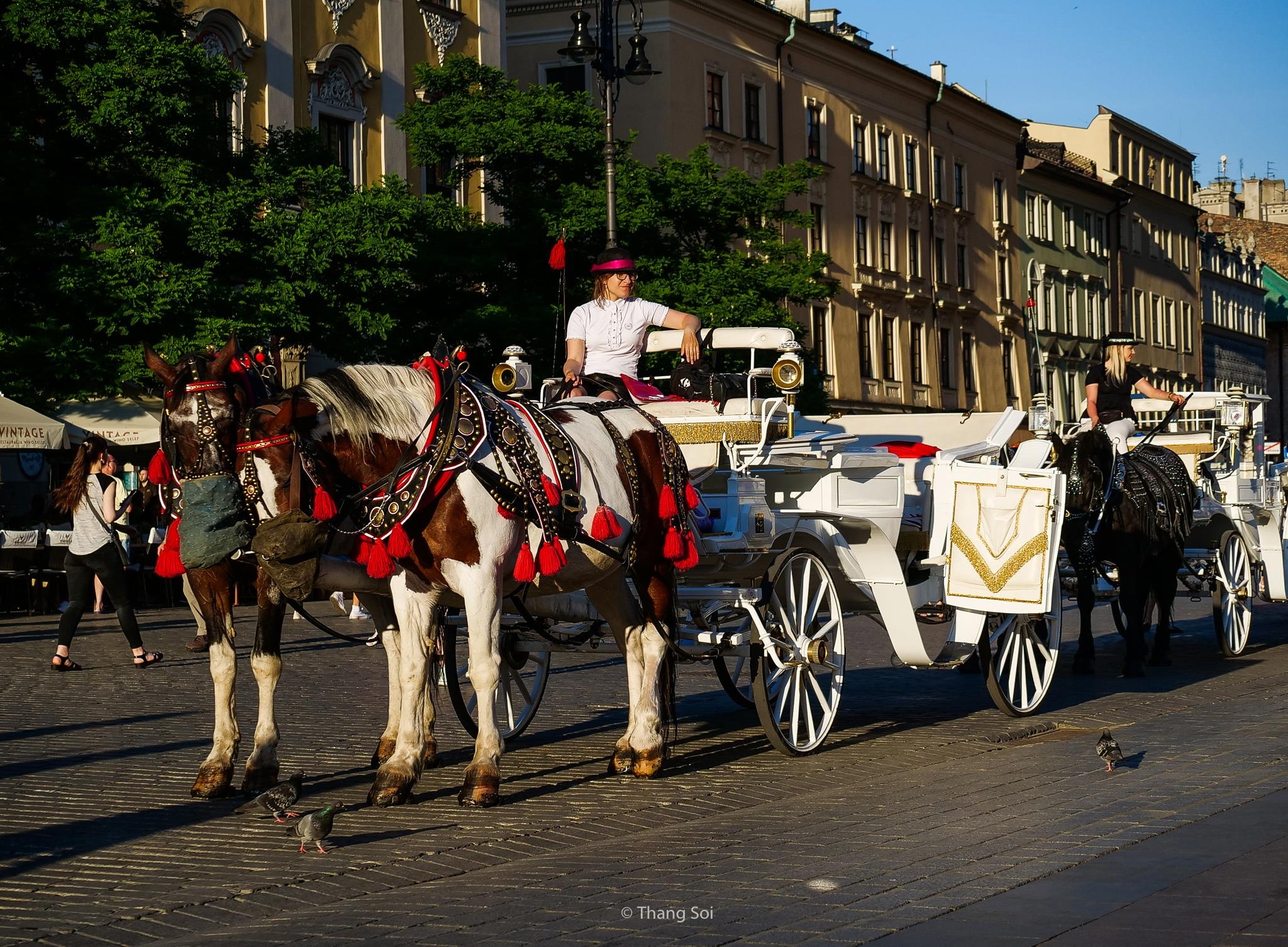 tham kinh do co Krakow o Ba Lan anh 38