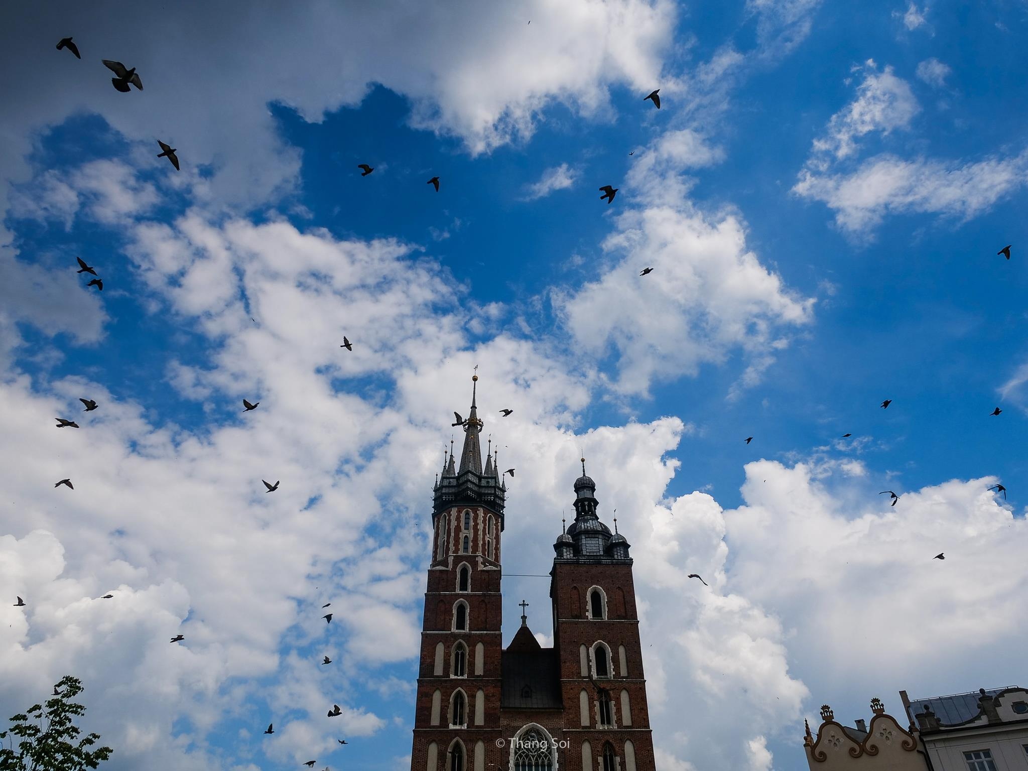 tham kinh do co Krakow o Ba Lan anh 47