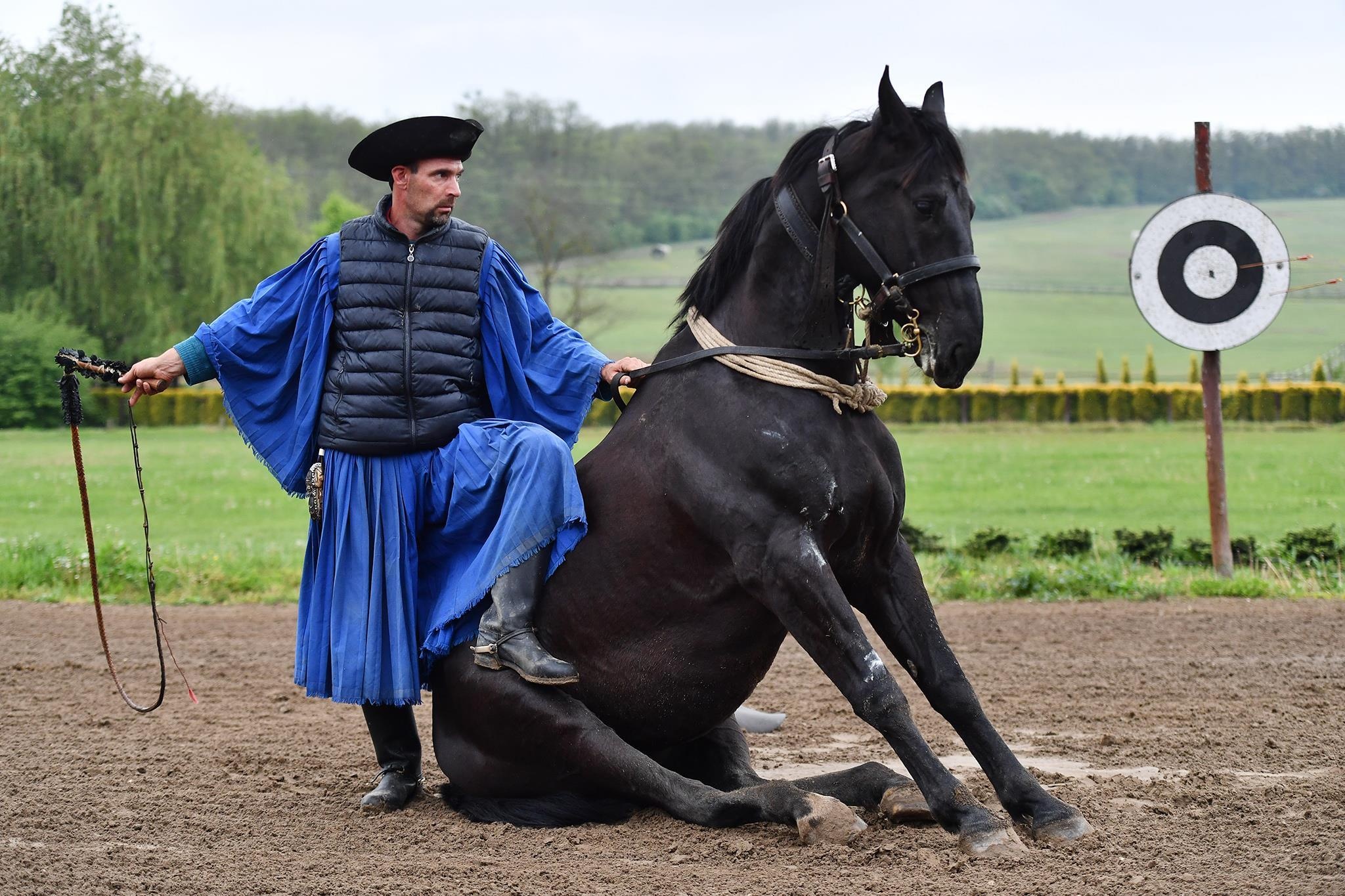 Ky si cao boi Hungary tro tai voi ngua phi nuoc dai hinh anh