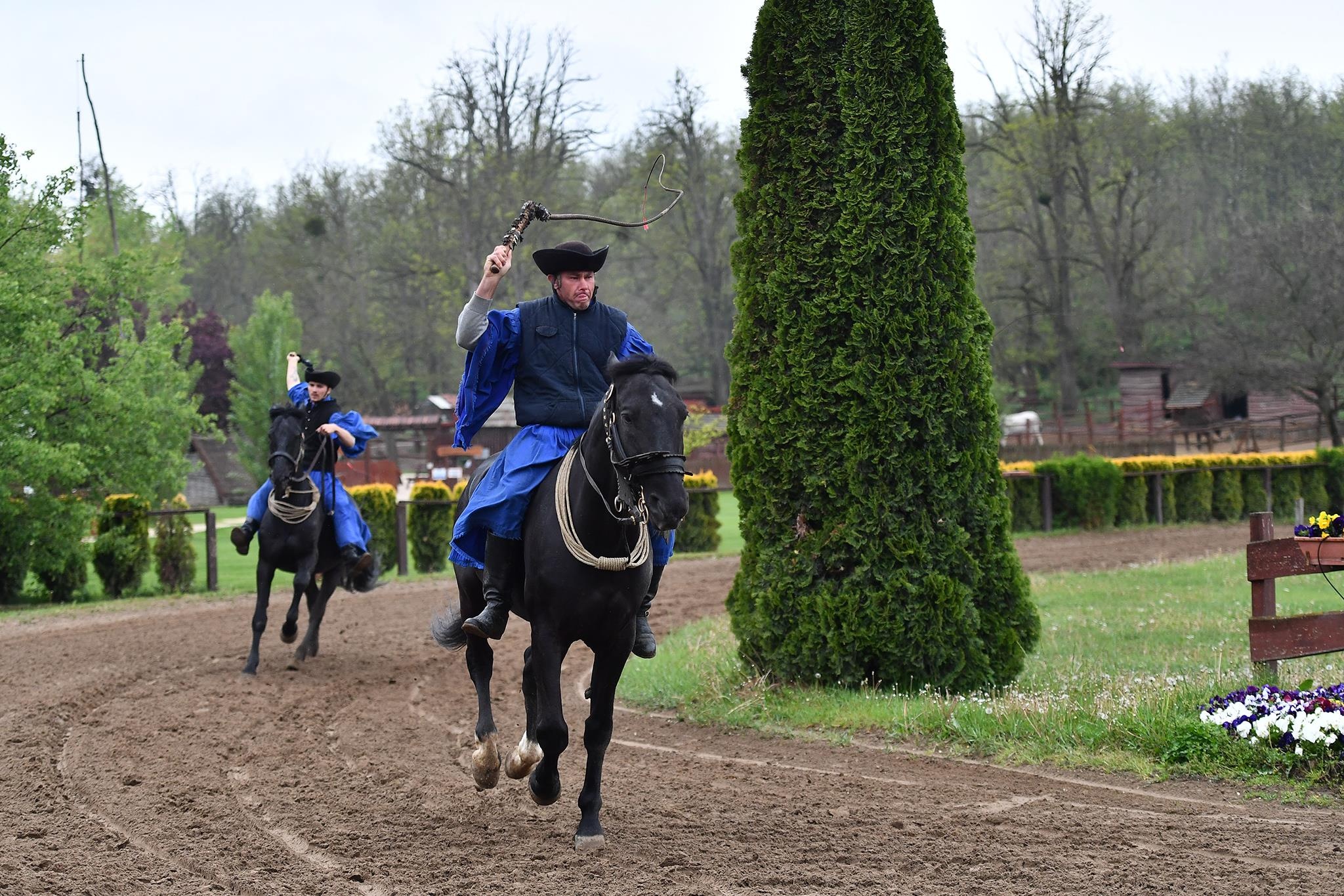 xiec ngua o Hungary anh 10