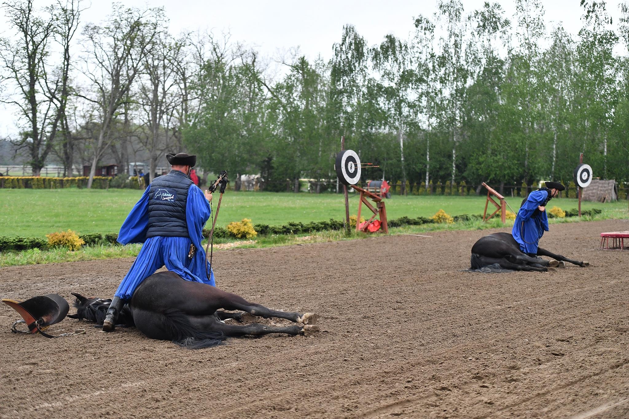 xiec ngua o Hungary anh 11