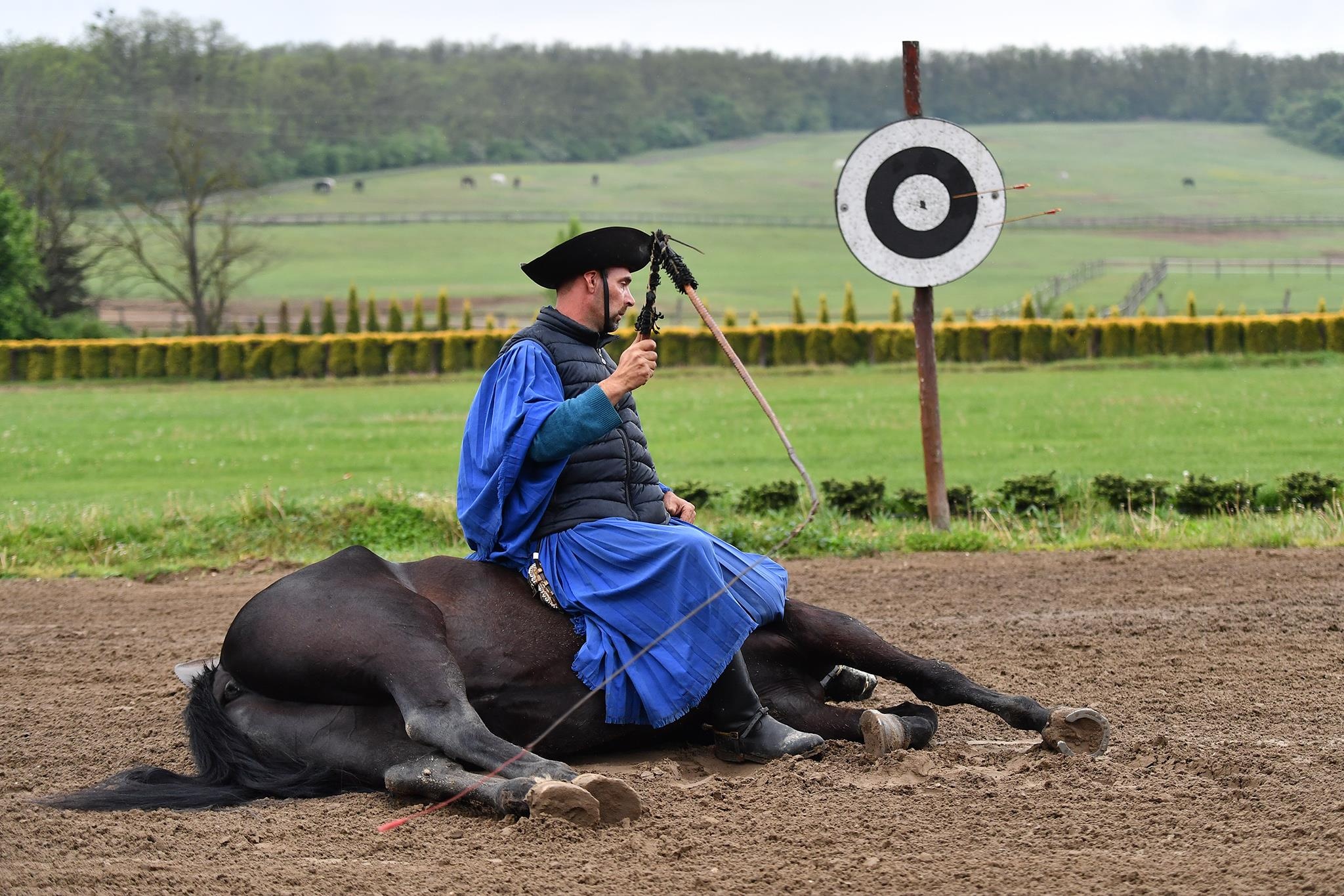 xiec ngua o Hungary anh 12