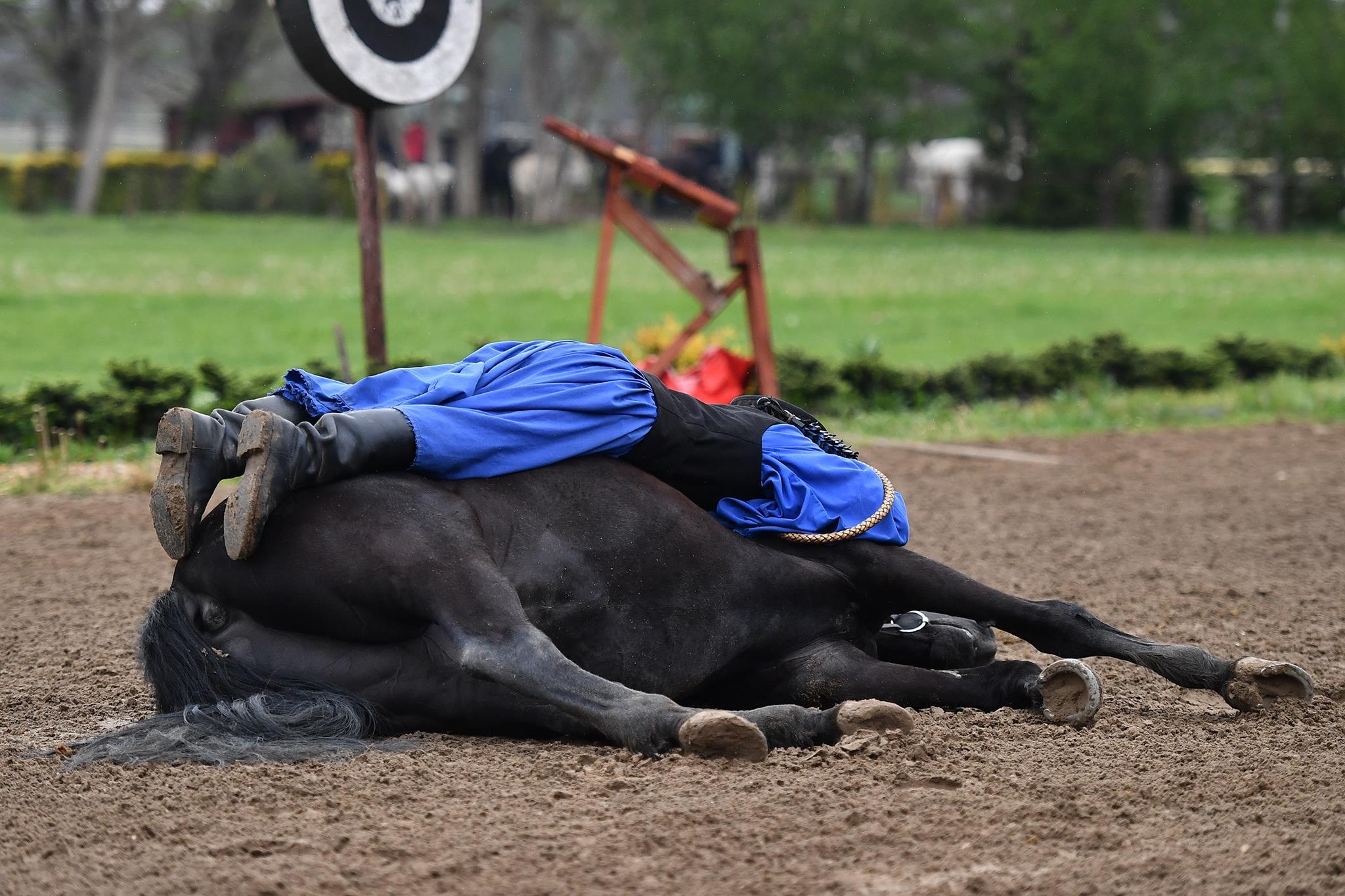 xiec ngua o Hungary anh 13