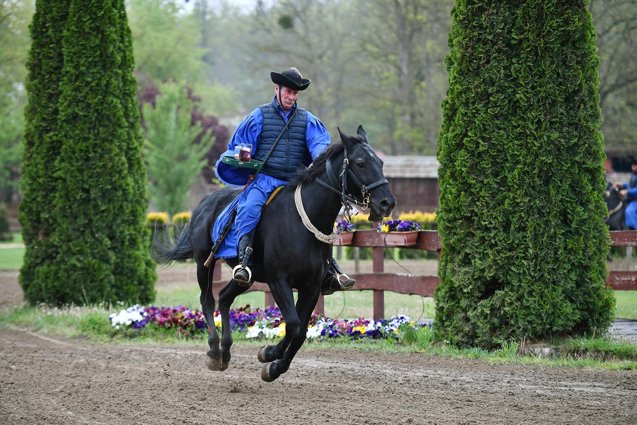 xiec ngua o Hungary anh 18