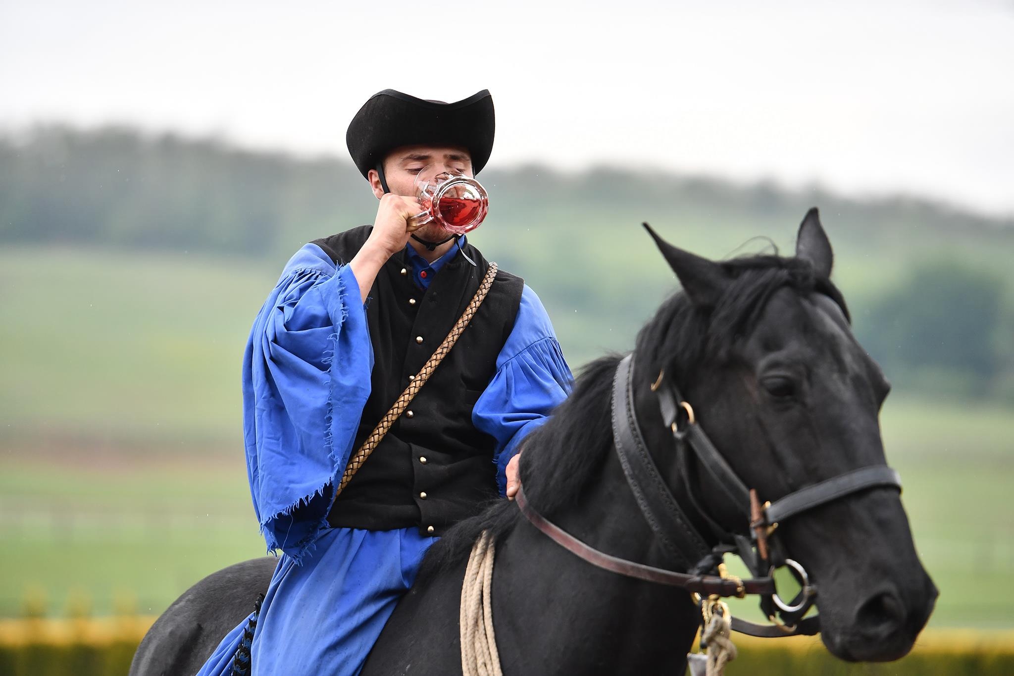 xiec ngua o Hungary anh 21