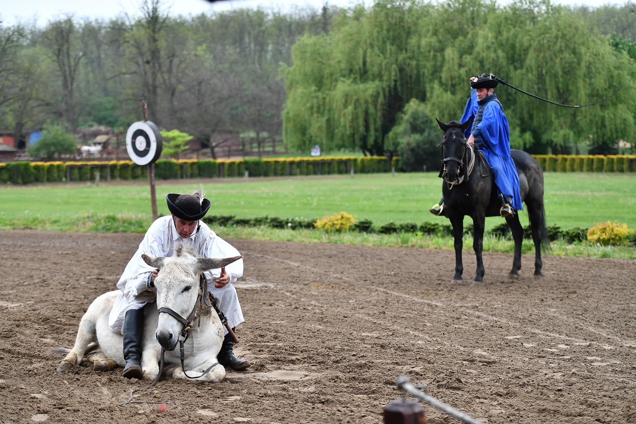 xiec ngua o Hungary anh 23