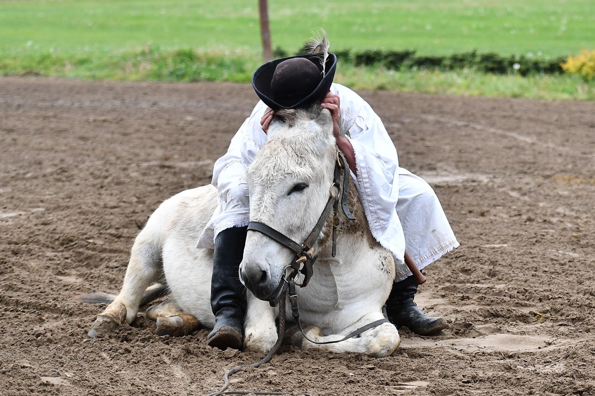 xiec ngua o Hungary anh 24