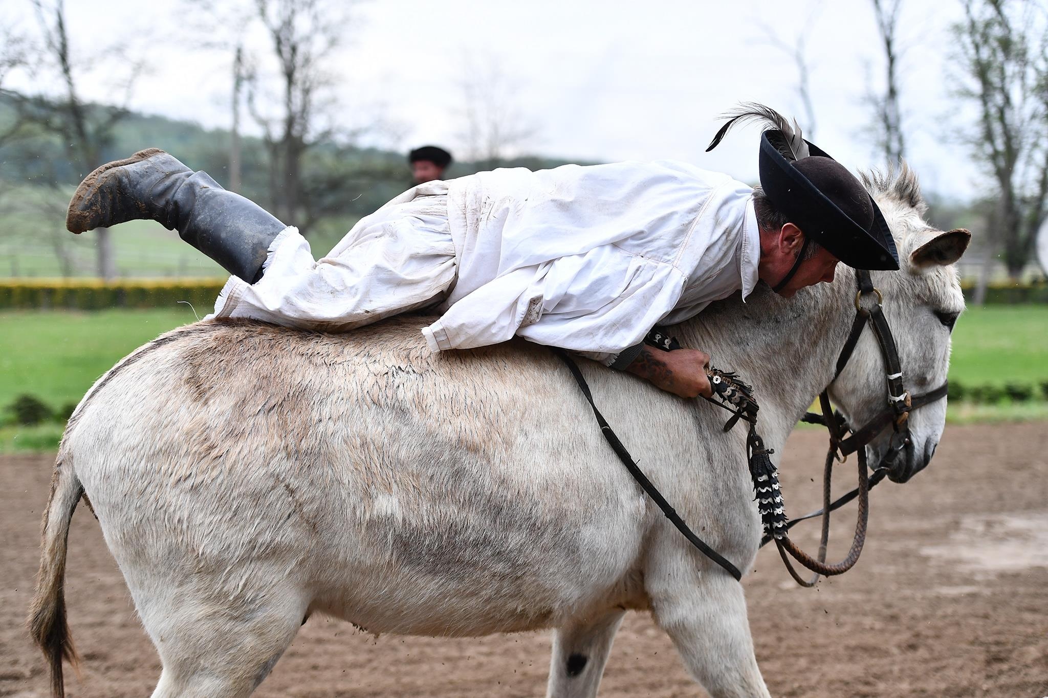 xiec ngua o Hungary anh 25