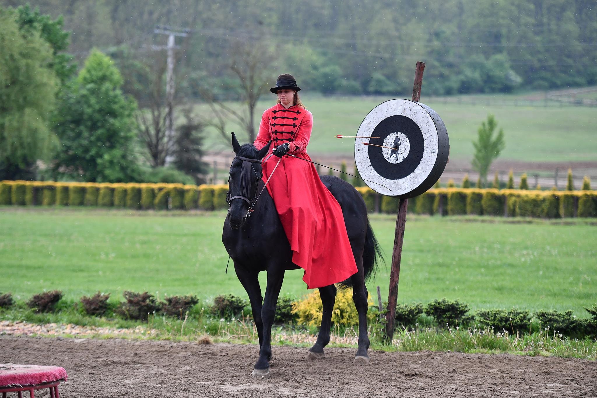 xiec ngua o Hungary anh 27