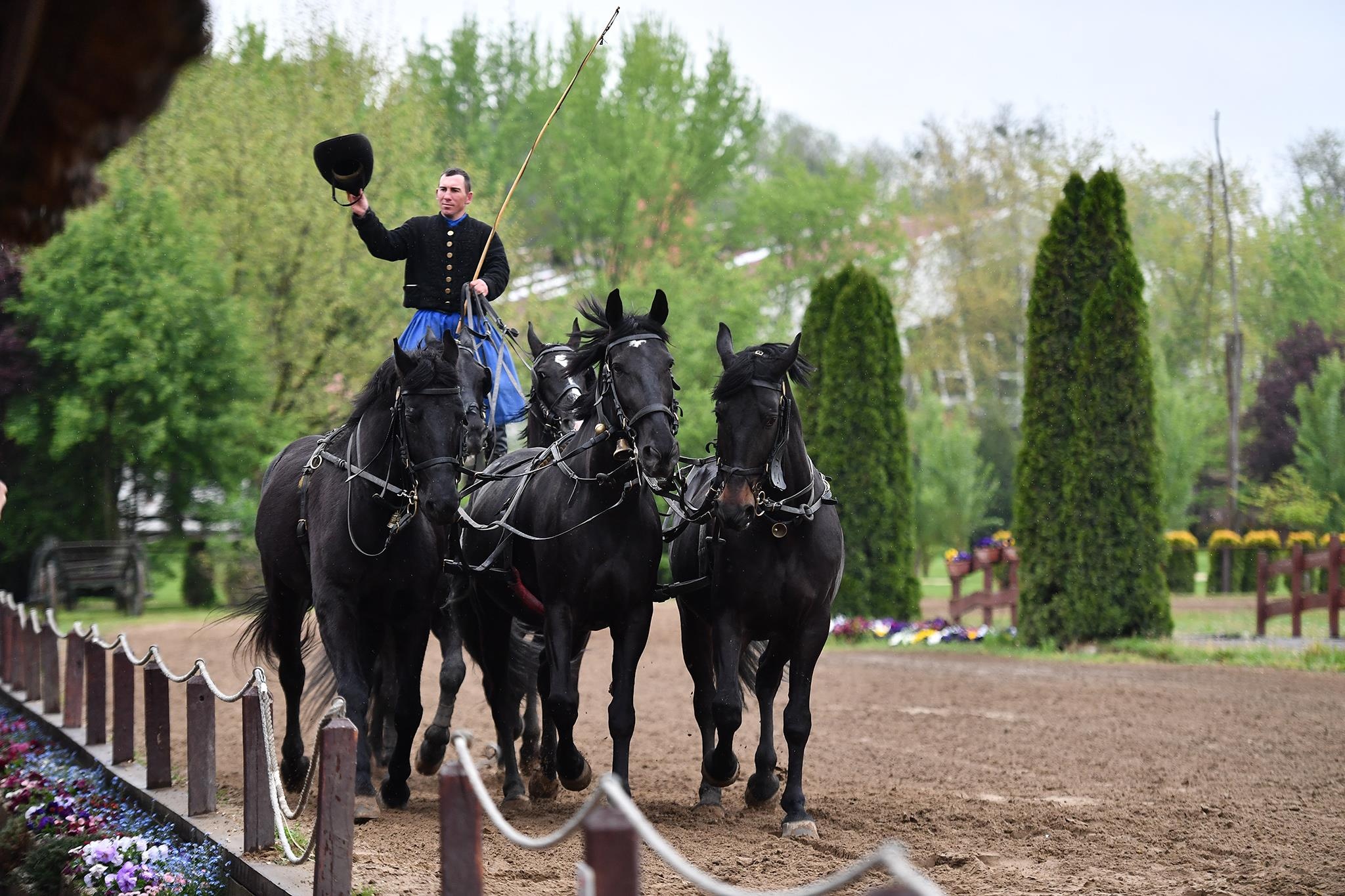 xiec ngua o Hungary anh 26