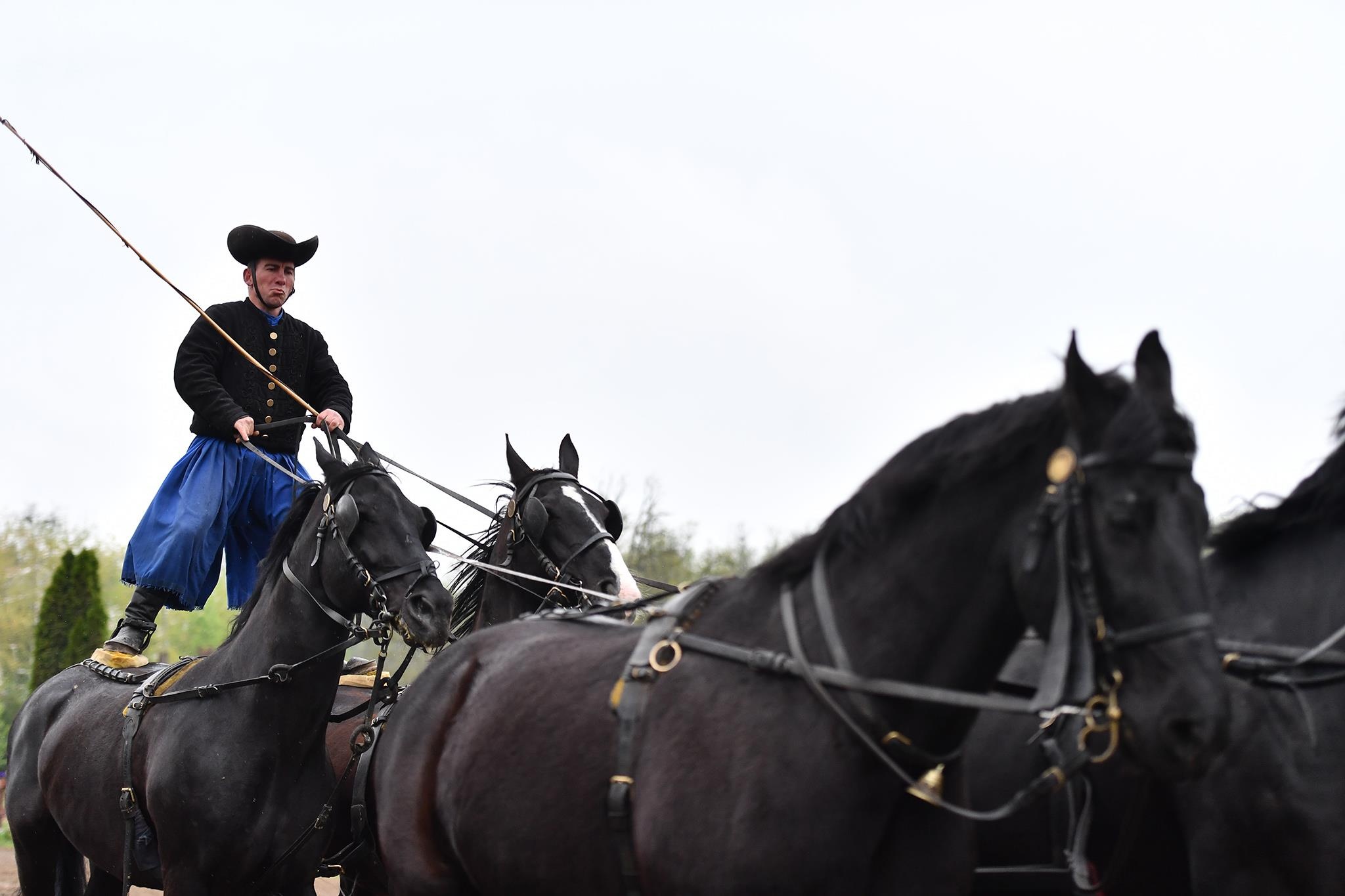 xiec ngua o Hungary anh 29