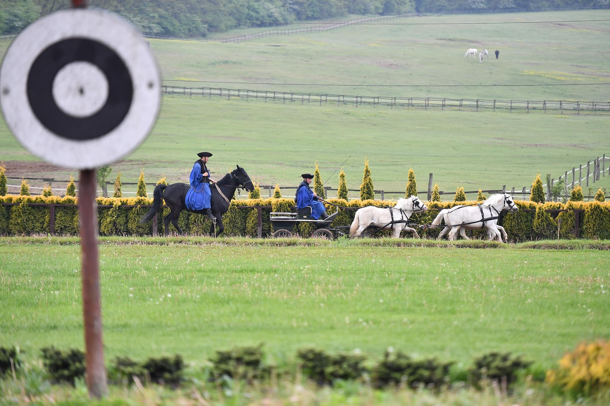 xiec ngua o Hungary anh 3