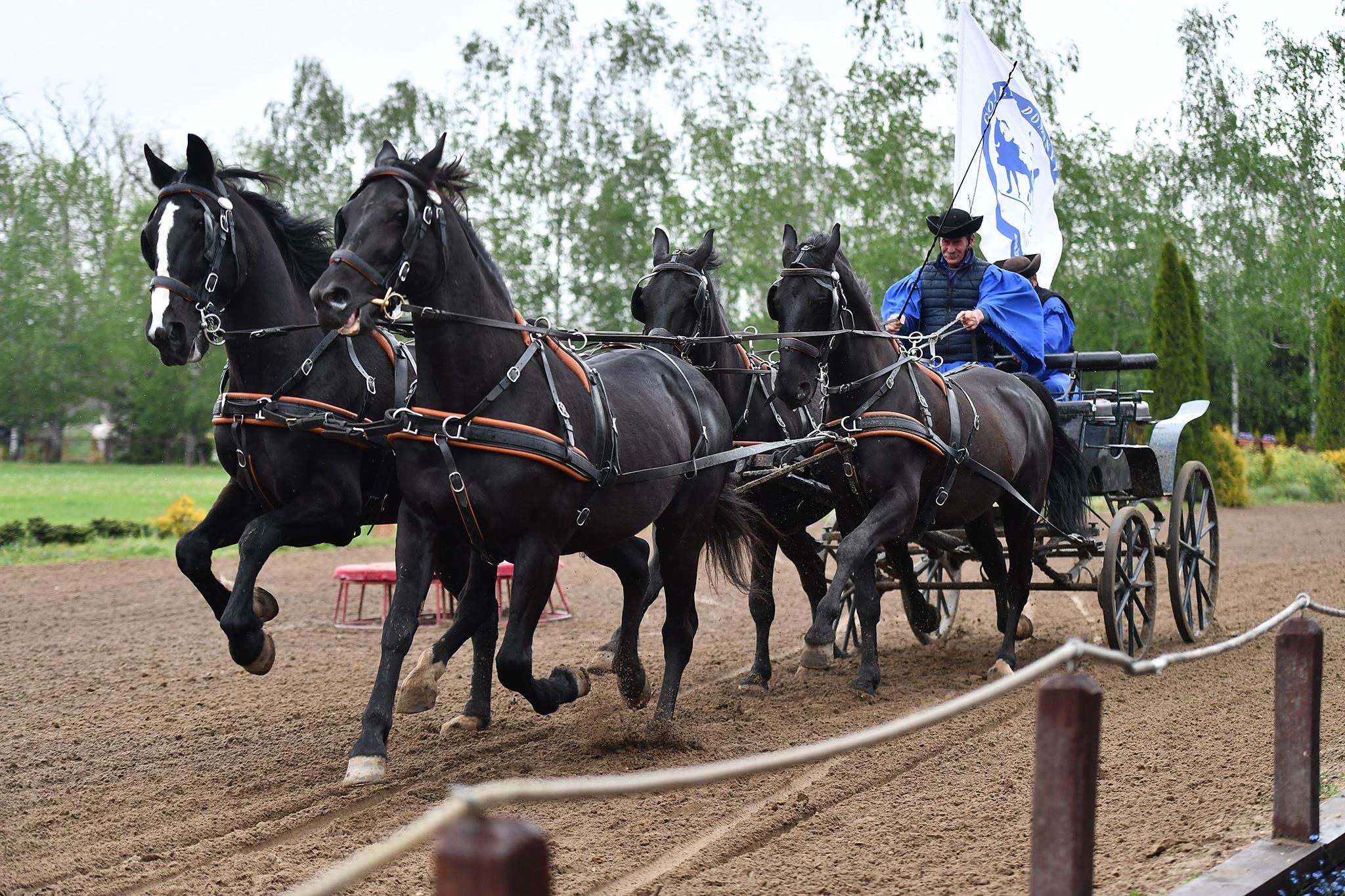 xiec ngua o Hungary anh 4