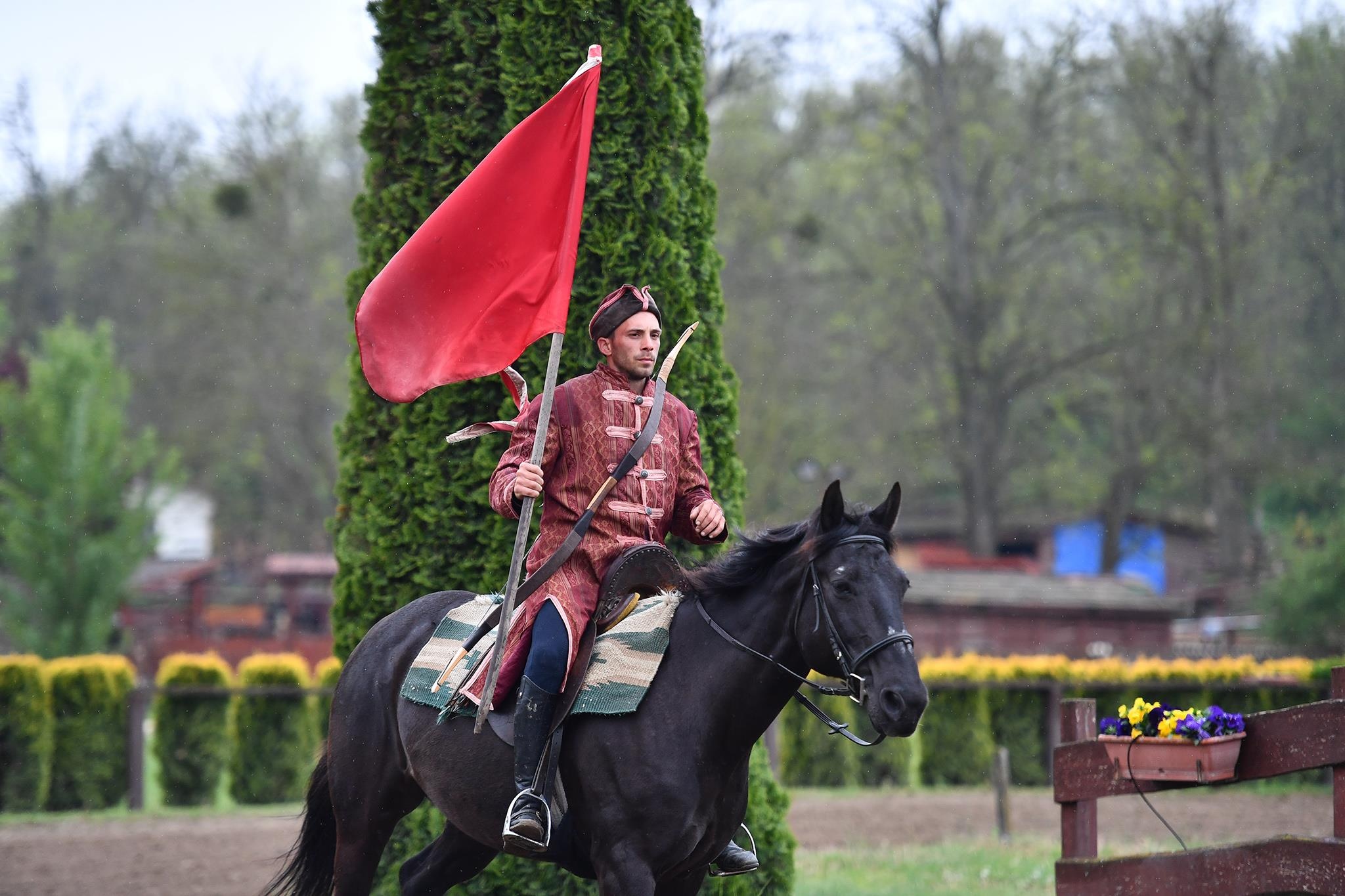 xiec ngua o Hungary anh 5