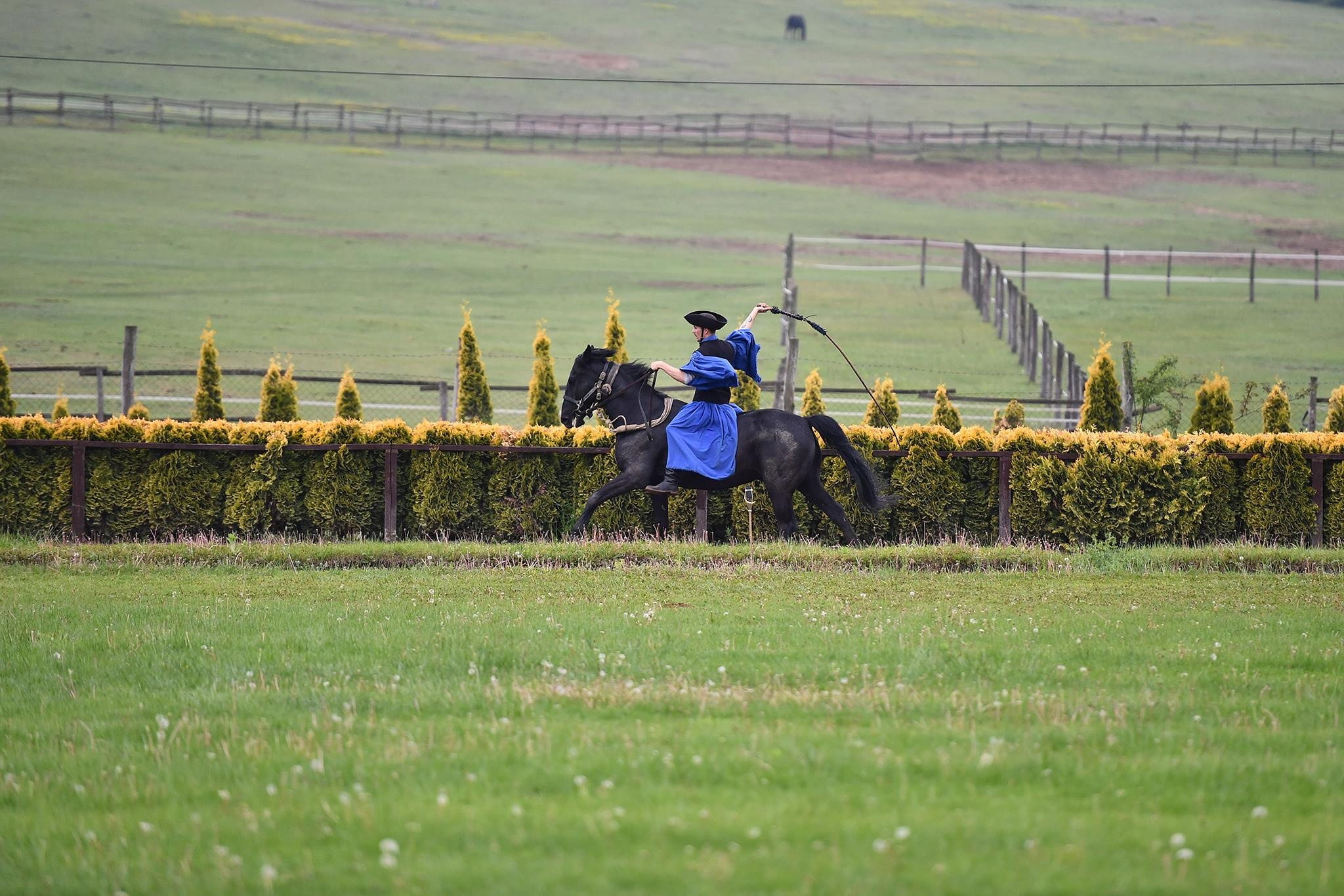 xiec ngua o Hungary anh 7