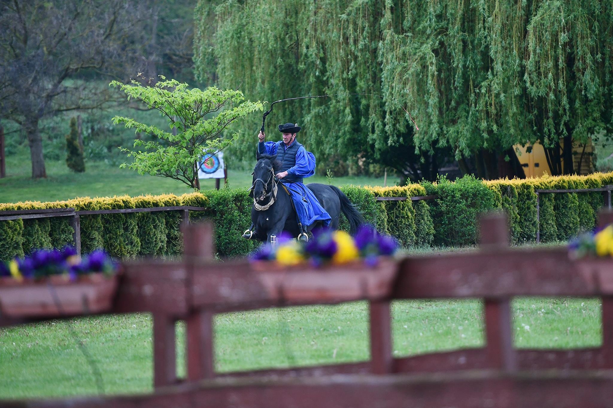 xiec ngua o Hungary anh 8