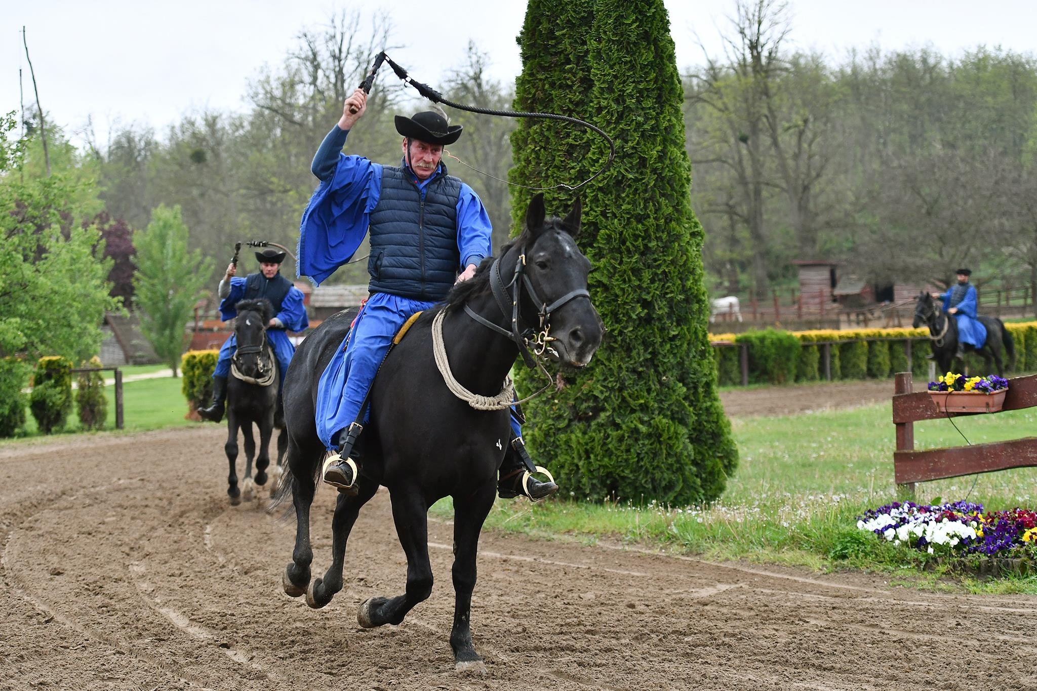 xiec ngua o Hungary anh 9