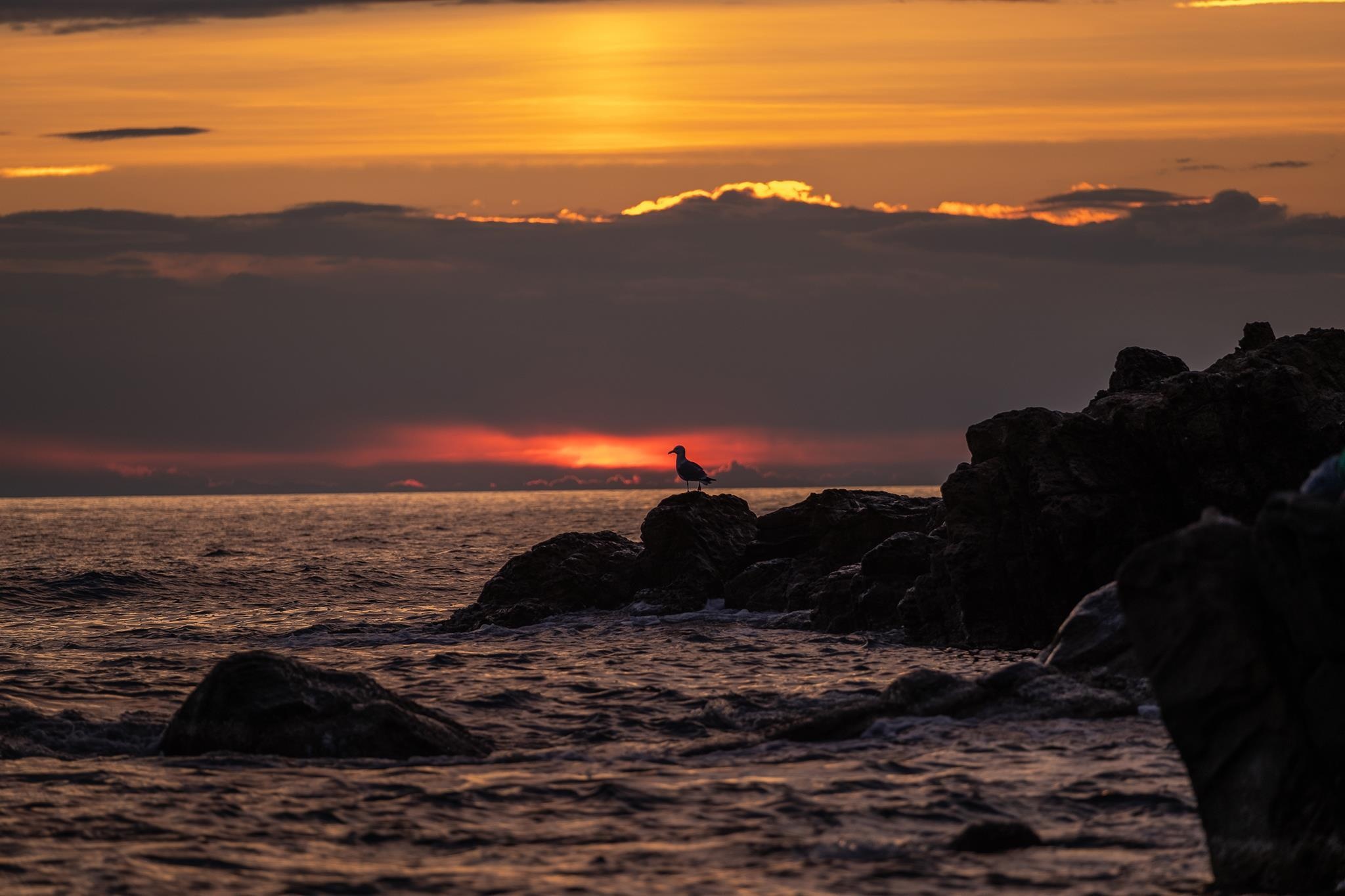 anh dep tren Zing.vn anh 8