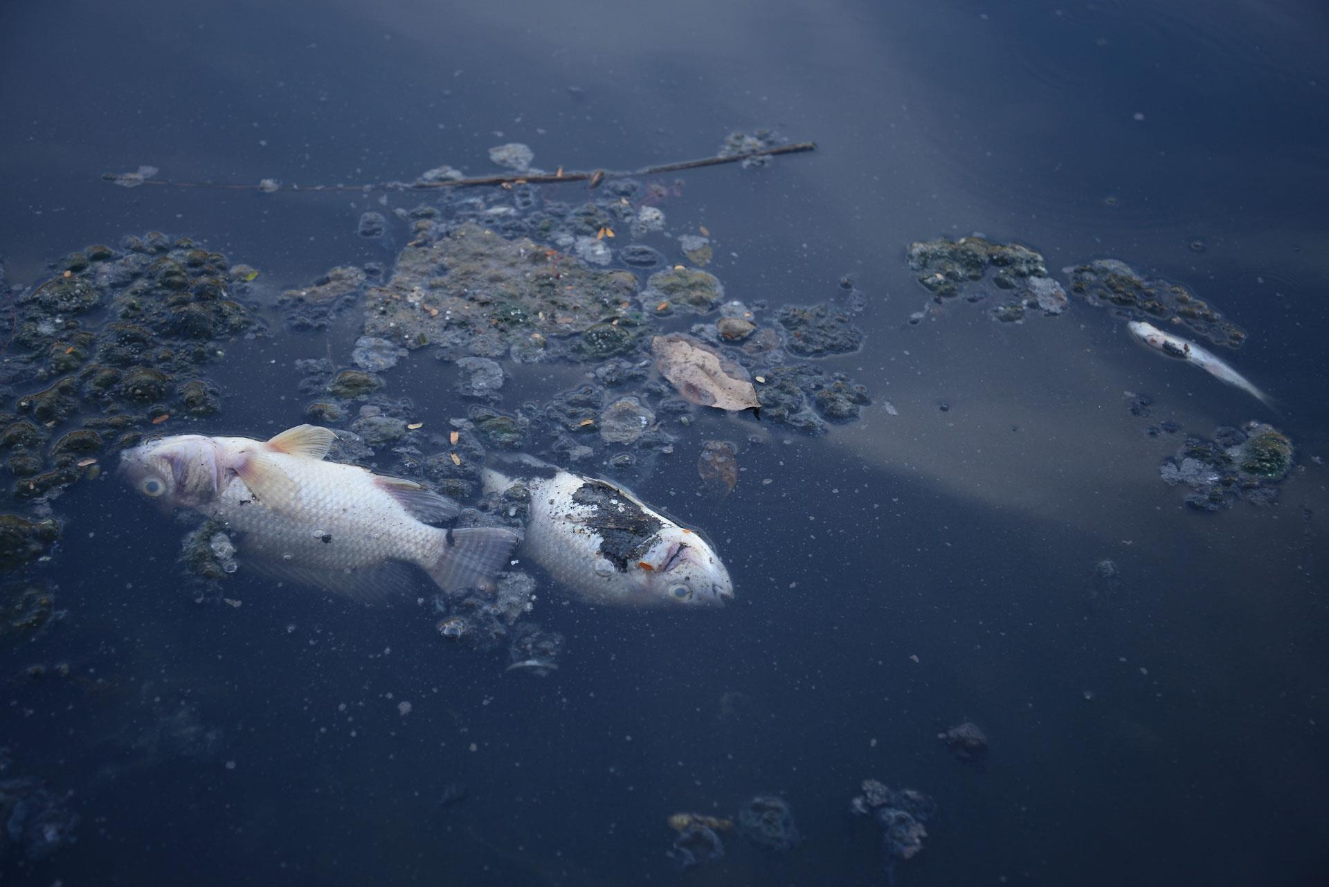 anh dep tren Zing.vn anh 5