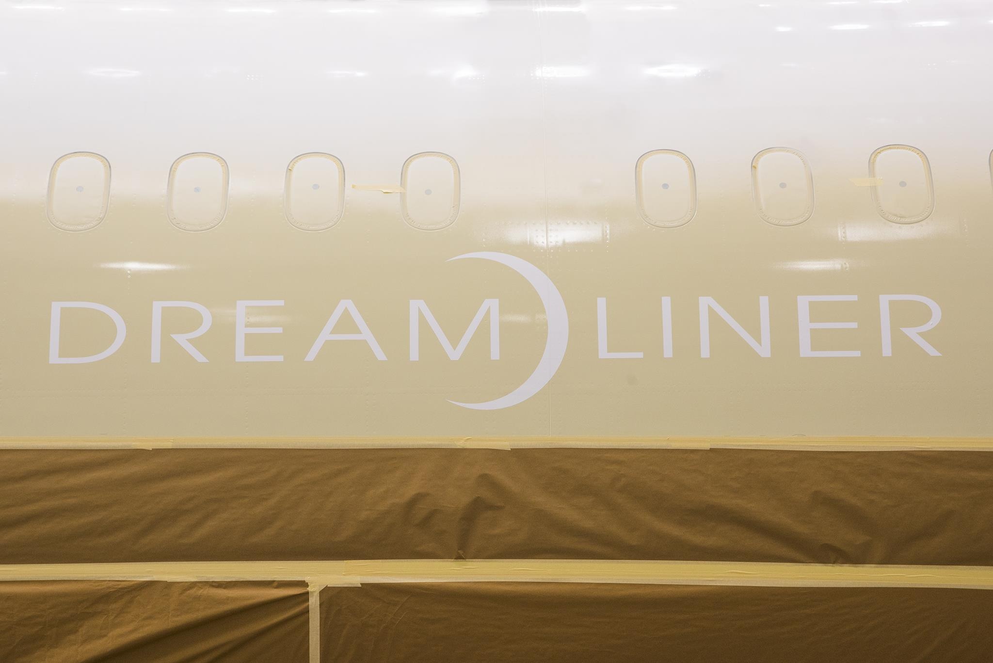 may bay Boeing 787-10 anh 4